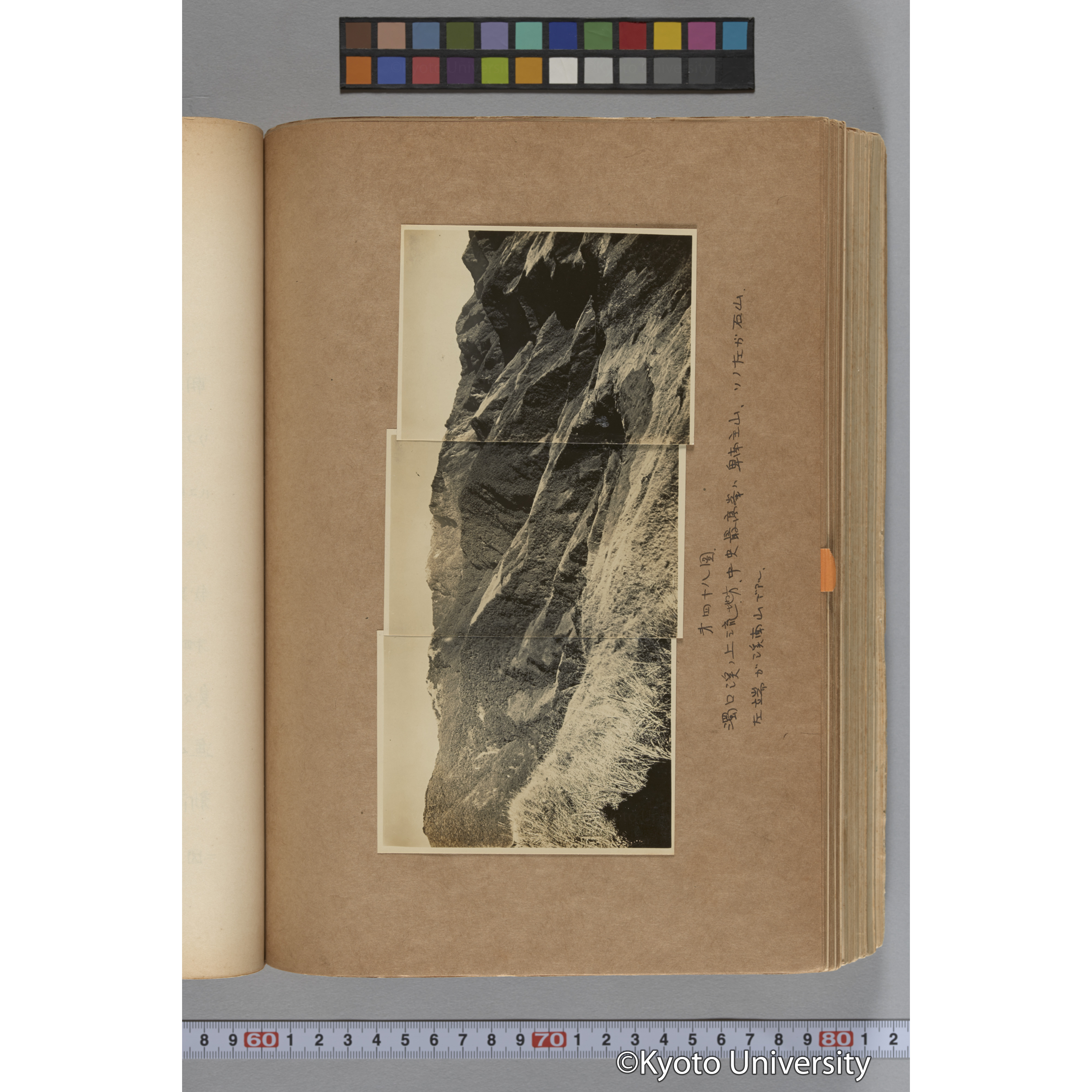 台湾演習林植物調査報告. 第一予報. 1931 植物調査班 (91)