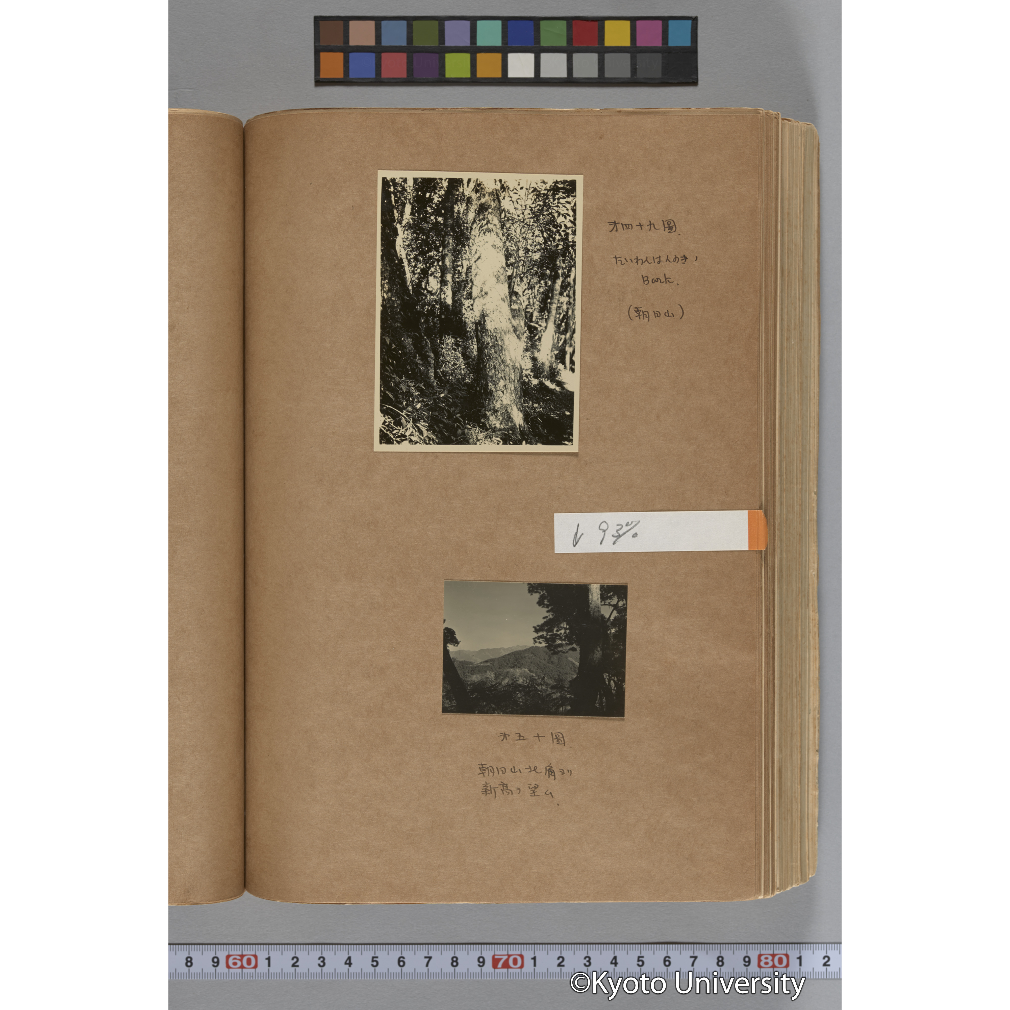 台湾演習林植物調査報告. 第一予報. 1931 植物調査班 (92)