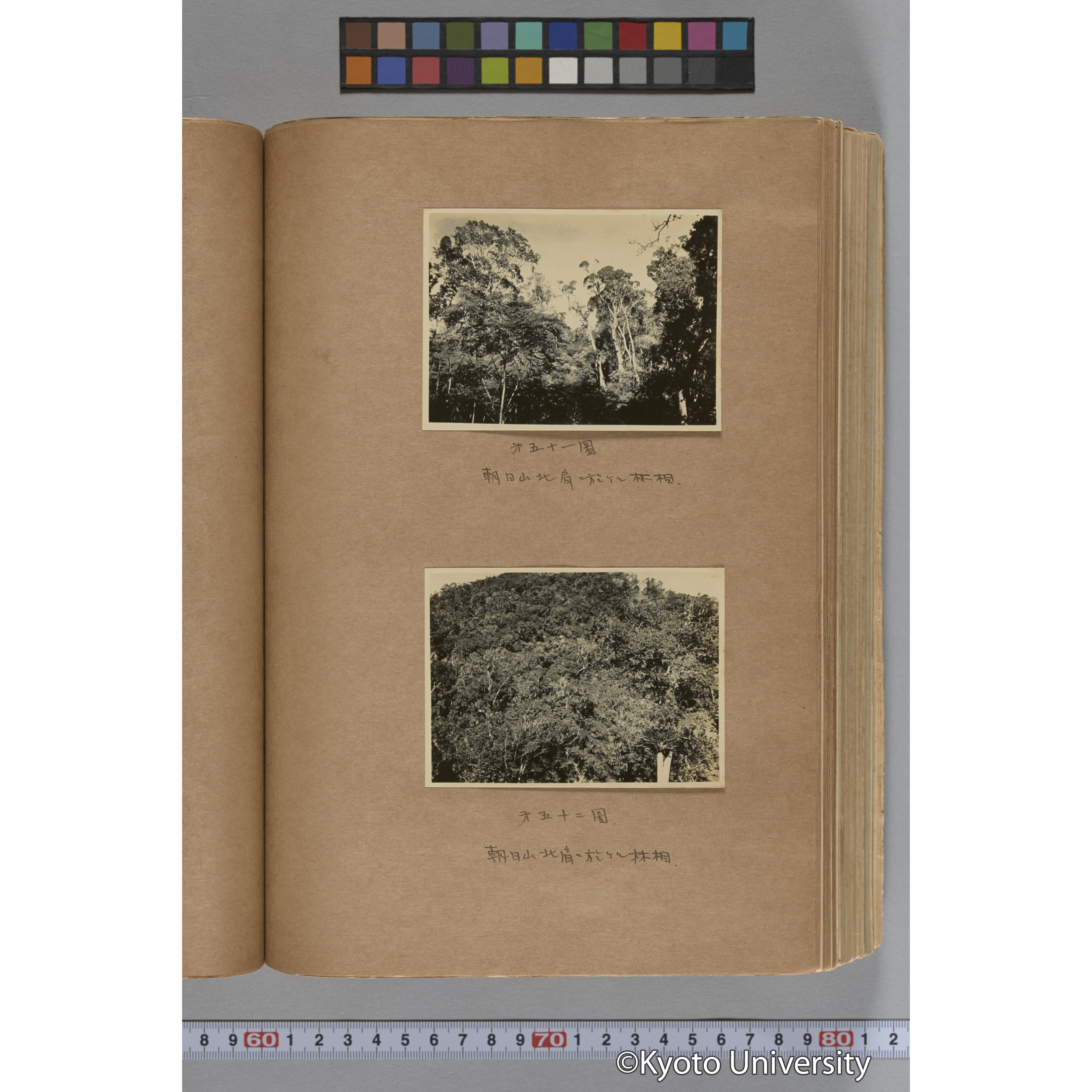 台湾演習林植物調査報告. 第一予報. 1931 植物調査班 (93)