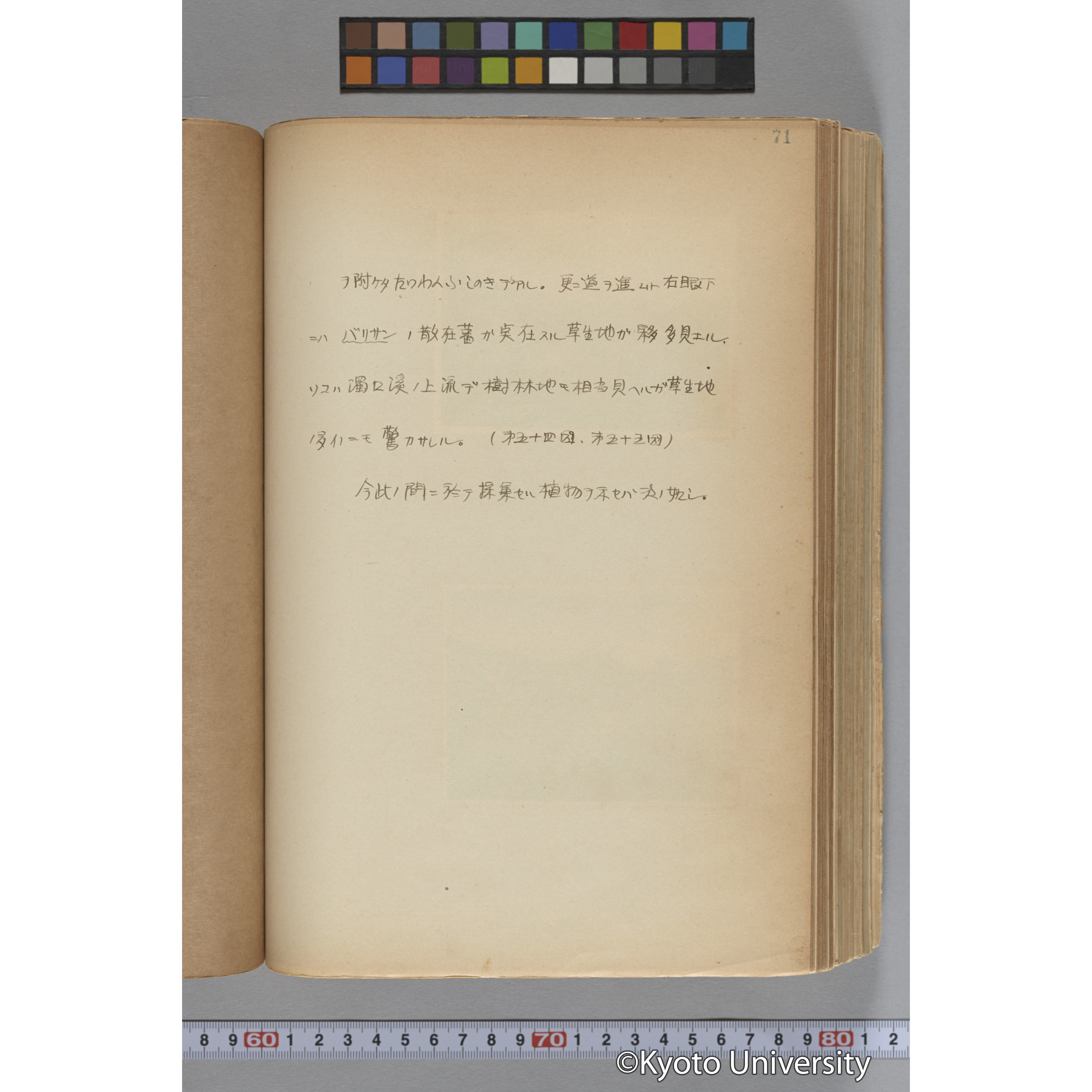 台湾演習林植物調査報告. 第一予報. 1931 植物調査班 (95)