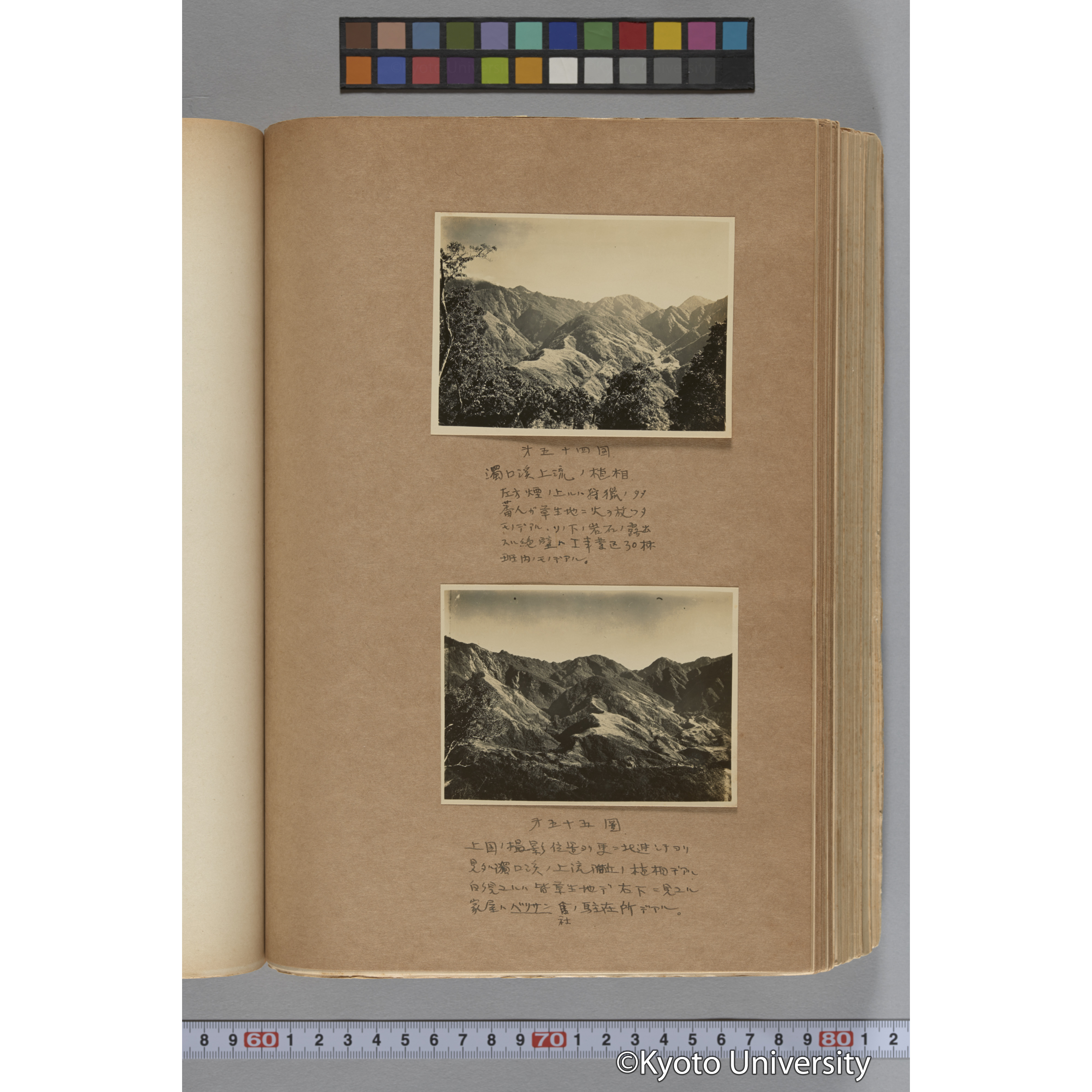 台湾演習林植物調査報告. 第一予報. 1931 植物調査班 (96)