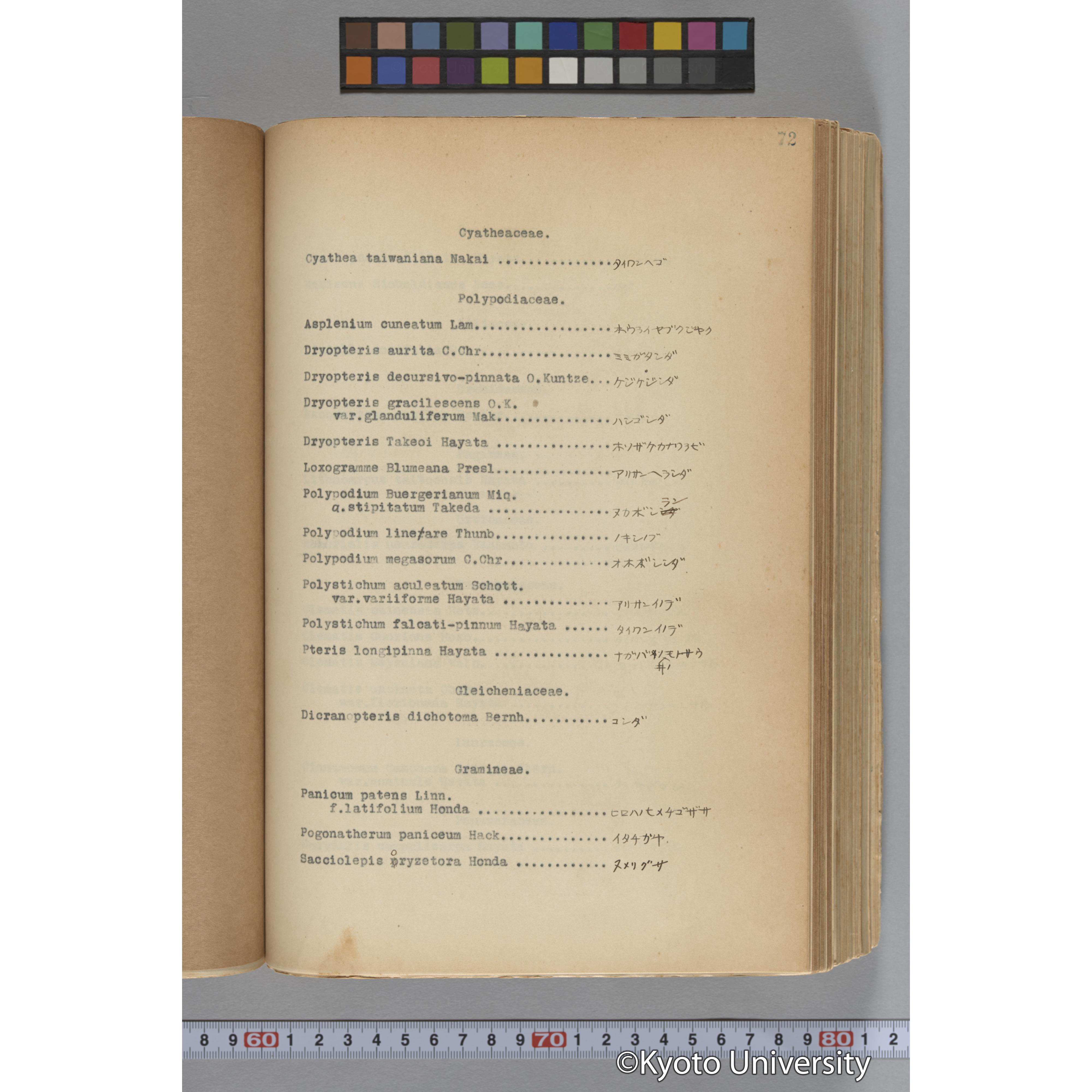 台湾演習林植物調査報告. 第一予報. 1931 植物調査班 (97)