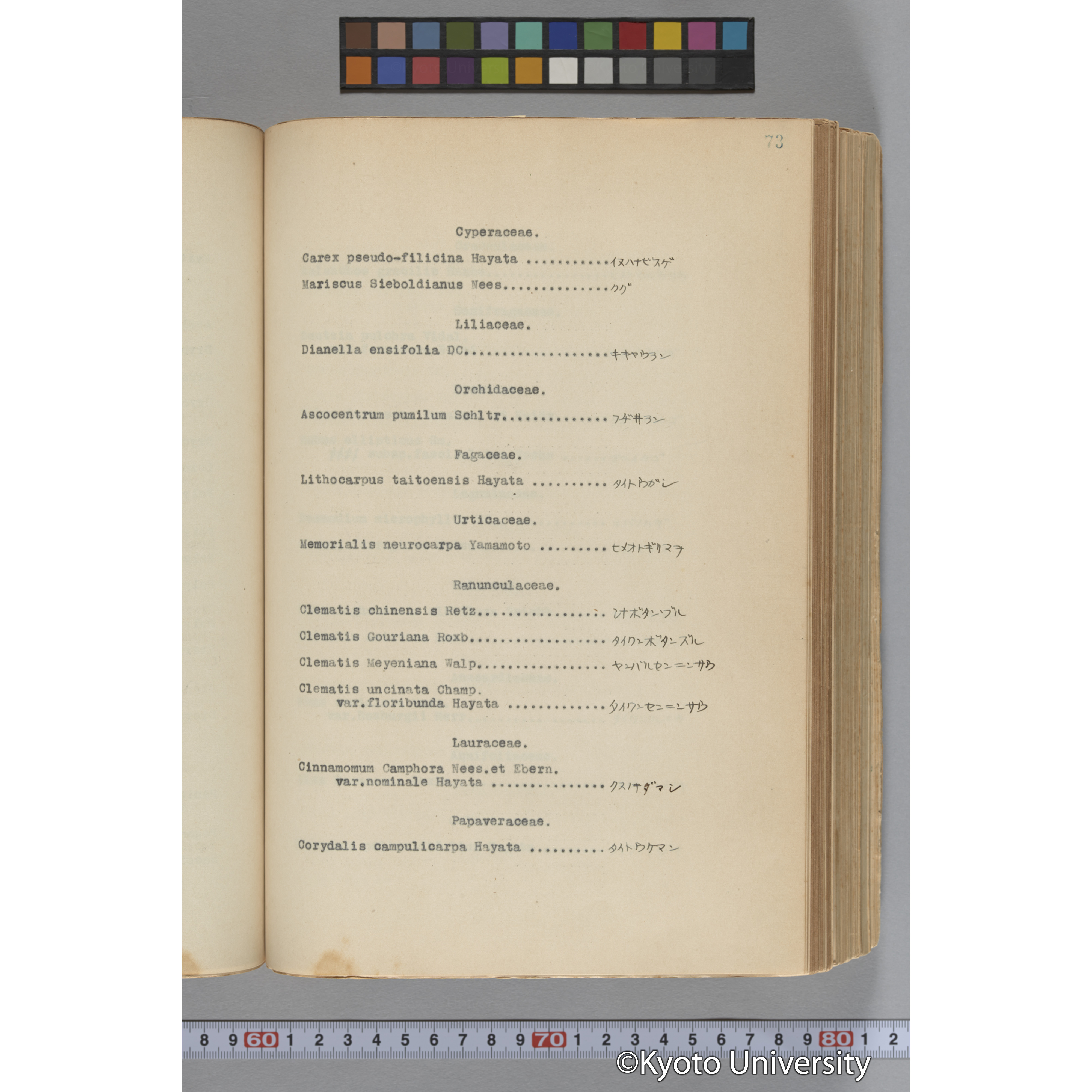 台湾演習林植物調査報告. 第一予報. 1931 植物調査班 (98)