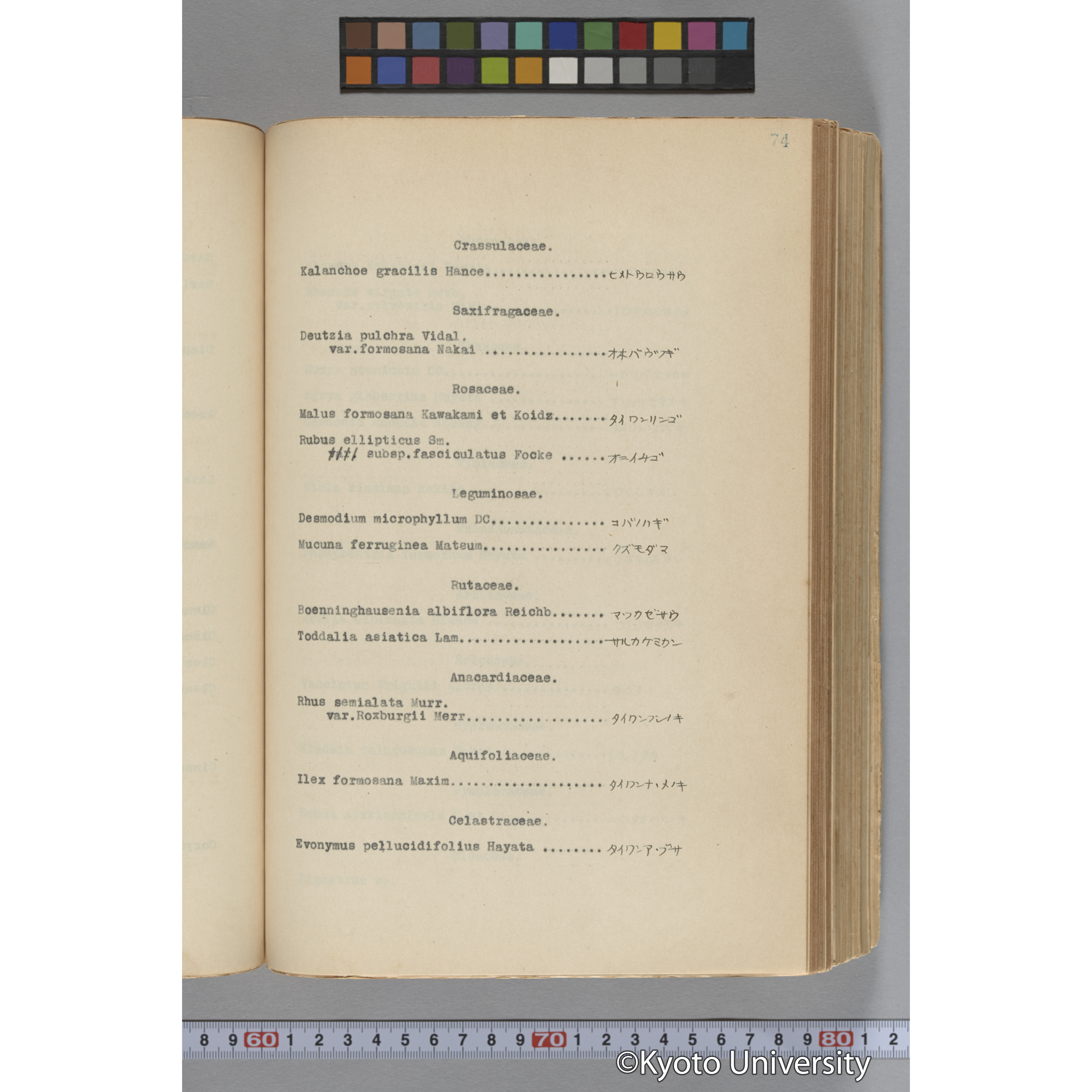 台湾演習林植物調査報告. 第一予報. 1931 植物調査班 (99)