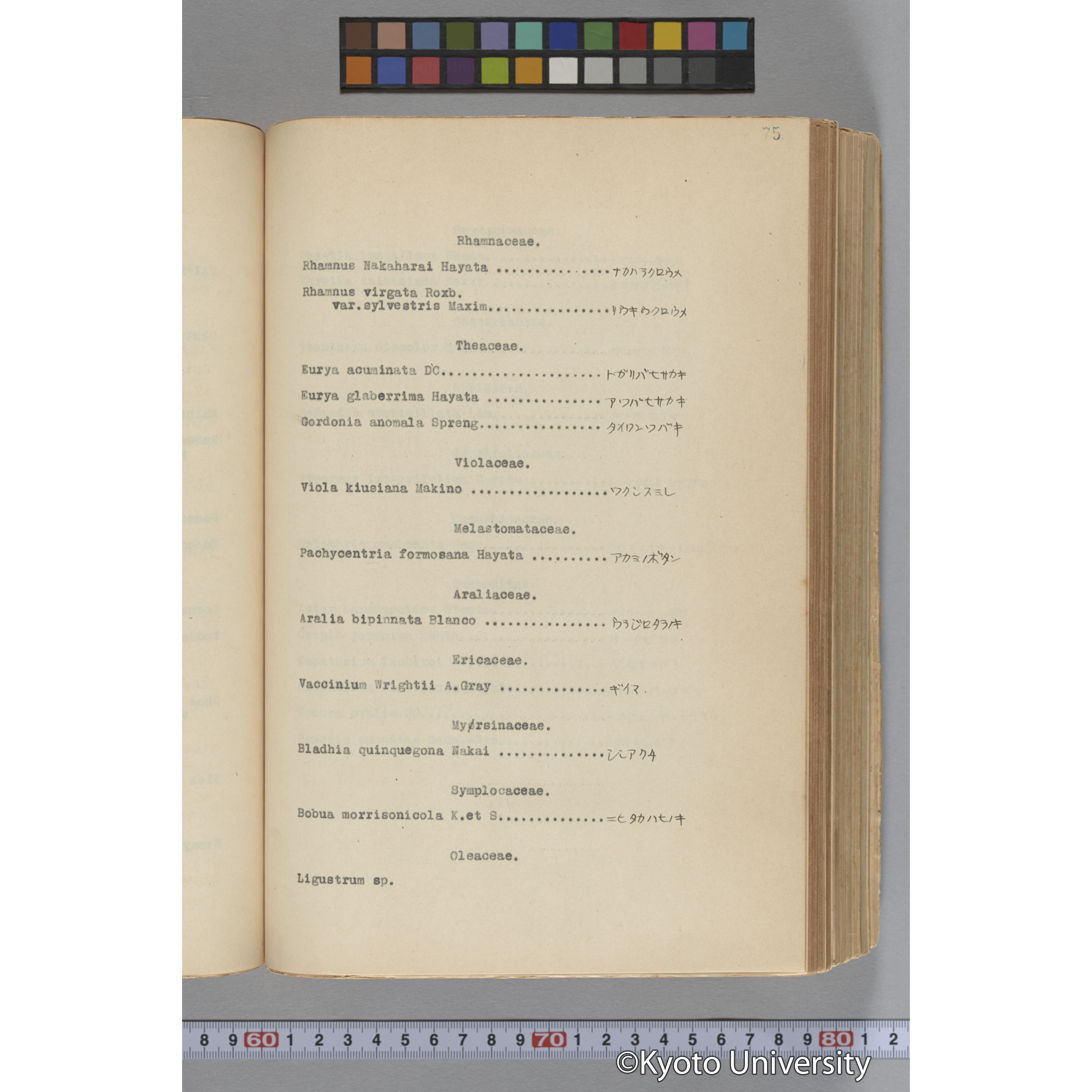 台湾演習林植物調査報告. 第一予報. 1931 植物調査班 (100)