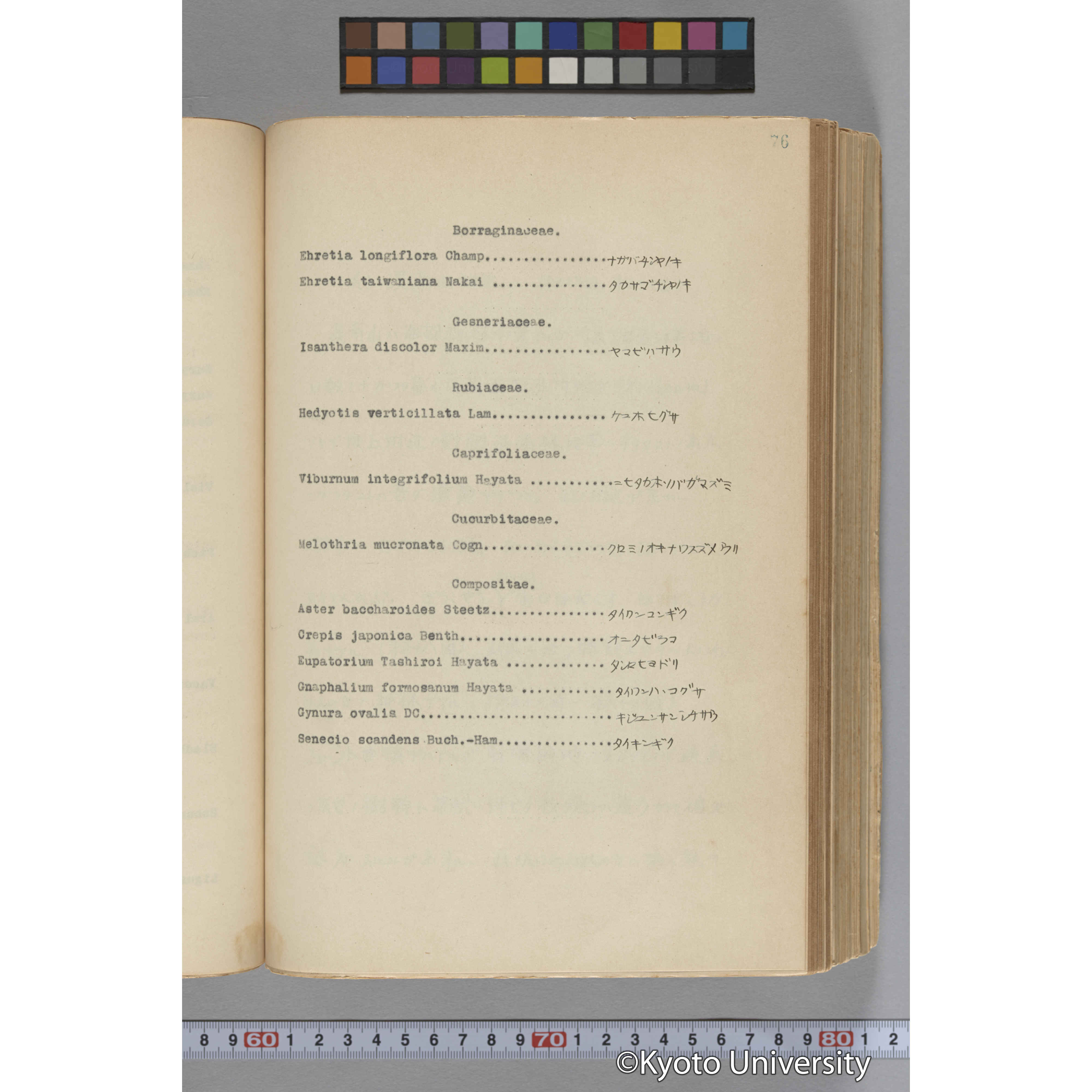 台湾演習林植物調査報告. 第一予報. 1931 植物調査班 (101)