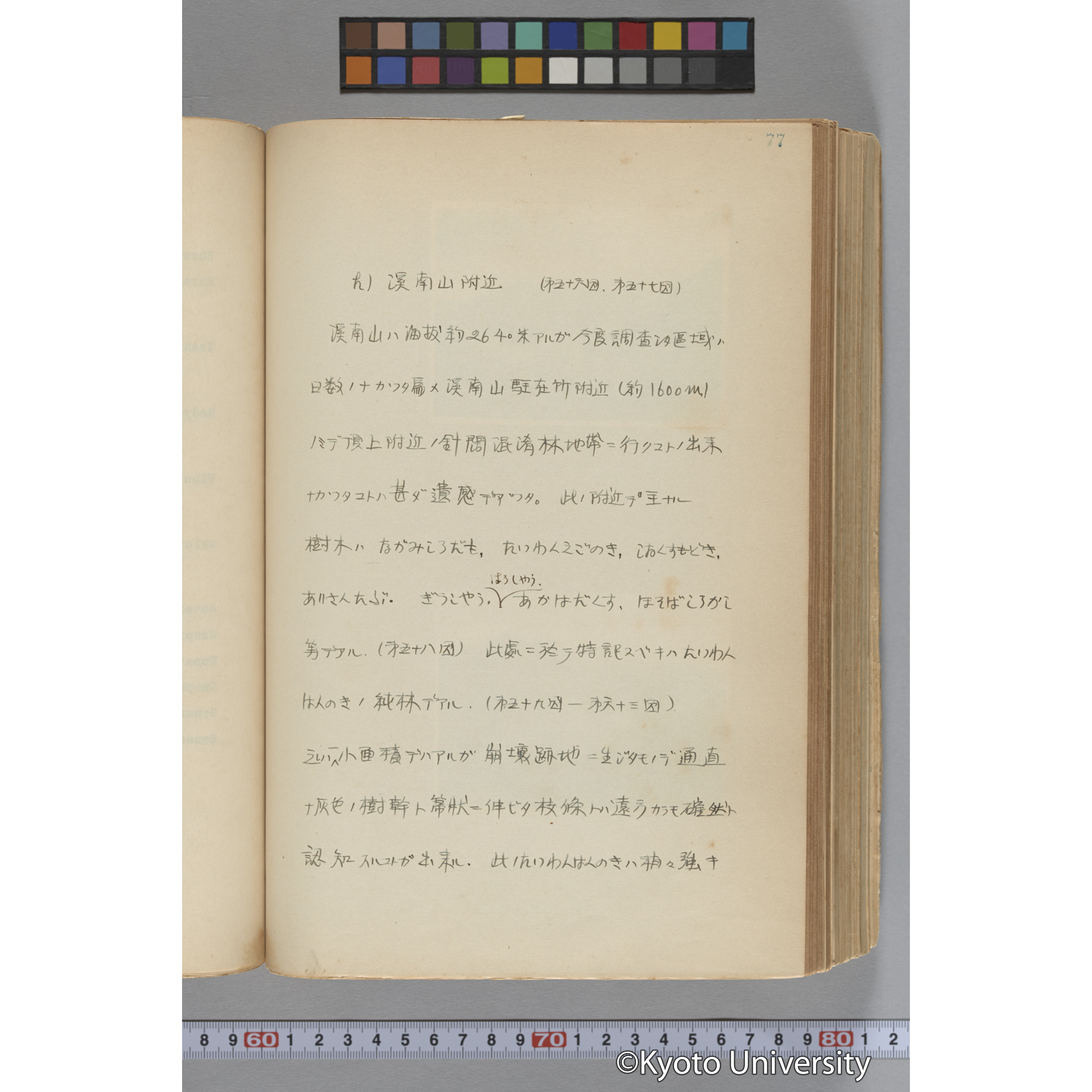 台湾演習林植物調査報告. 第一予報. 1931 植物調査班 (102)