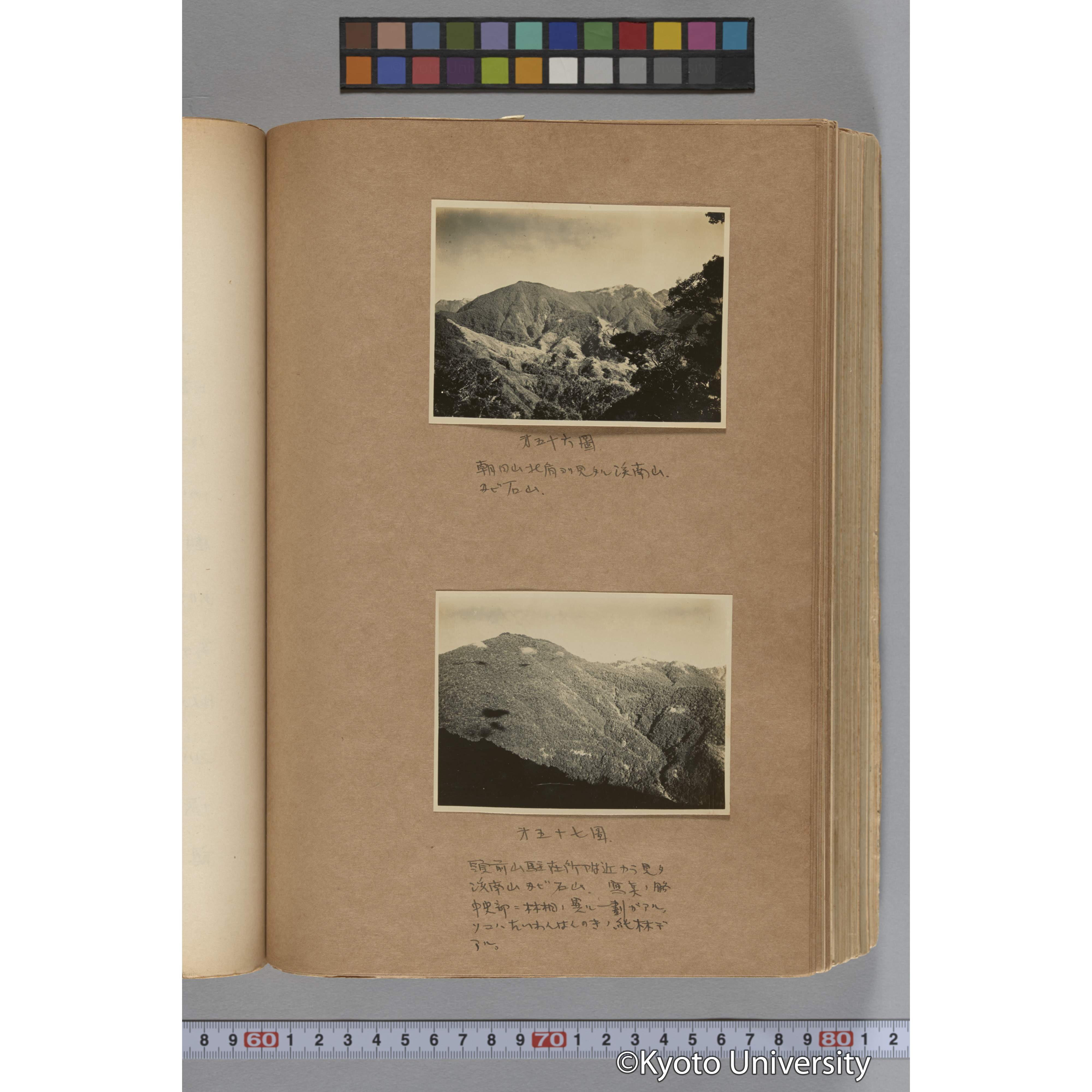 台湾演習林植物調査報告. 第一予報. 1931 植物調査班 (103)