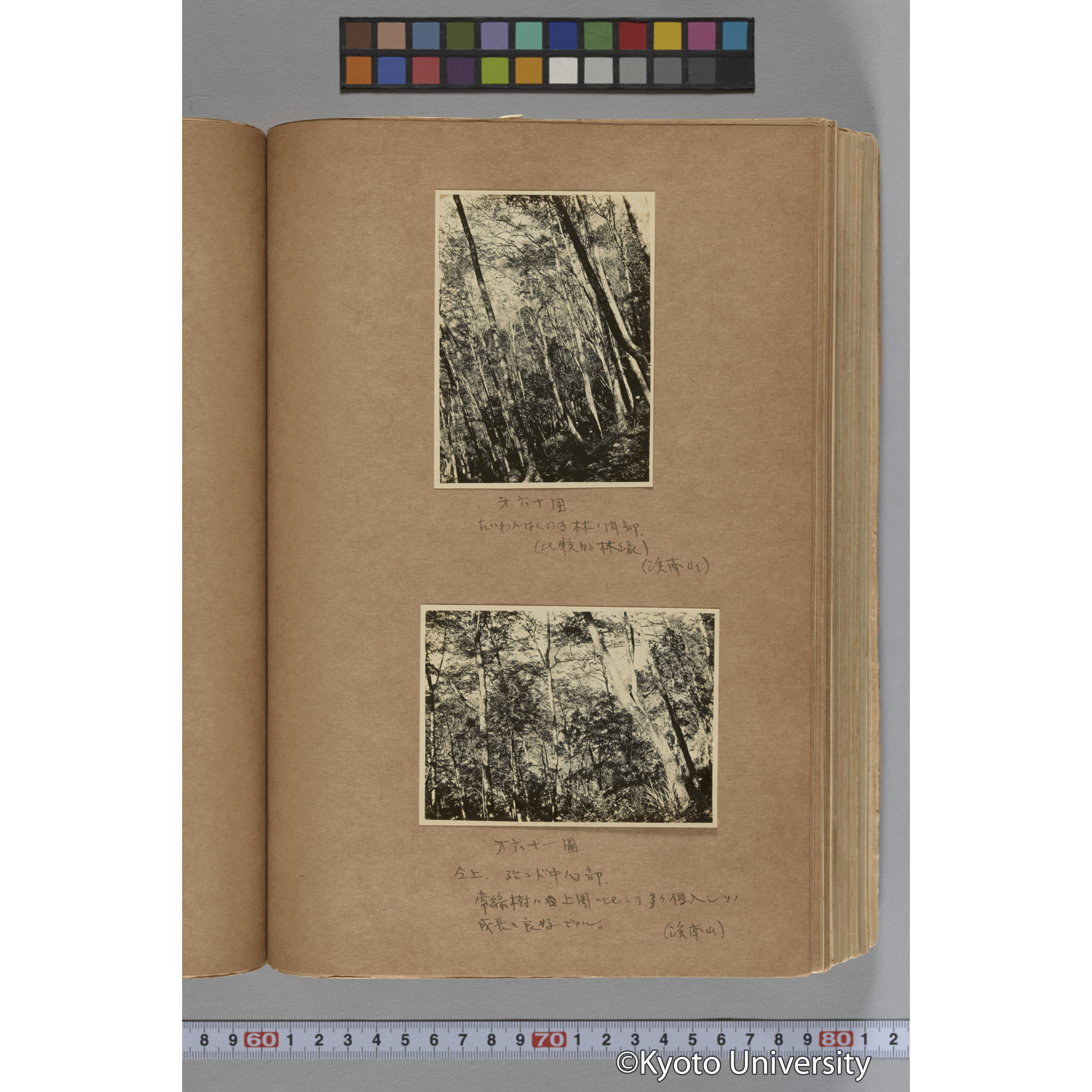 台湾演習林植物調査報告. 第一予報. 1931 植物調査班 (105)