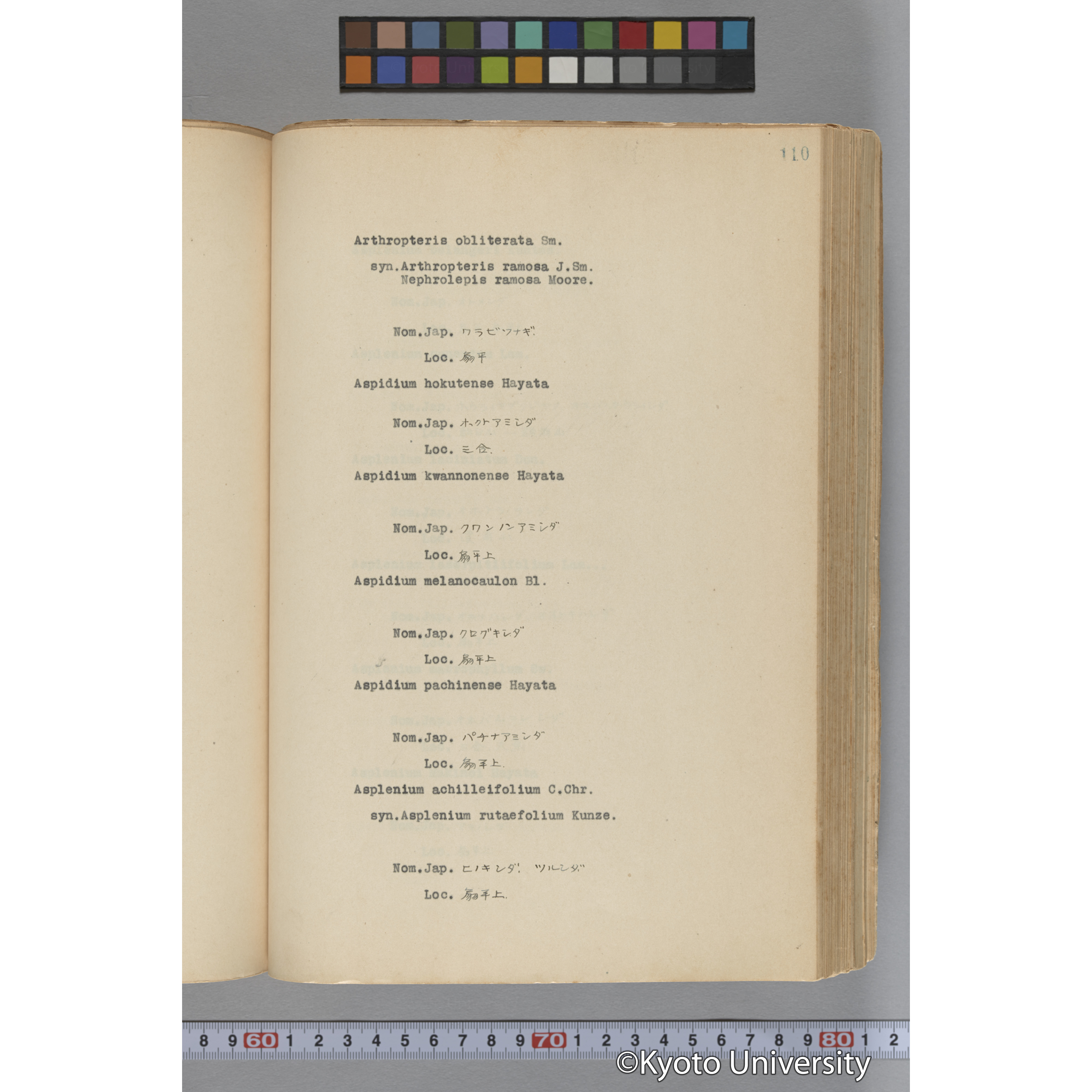 台湾演習林植物調査報告. 第一予報. 1931 植物調査班 (106)