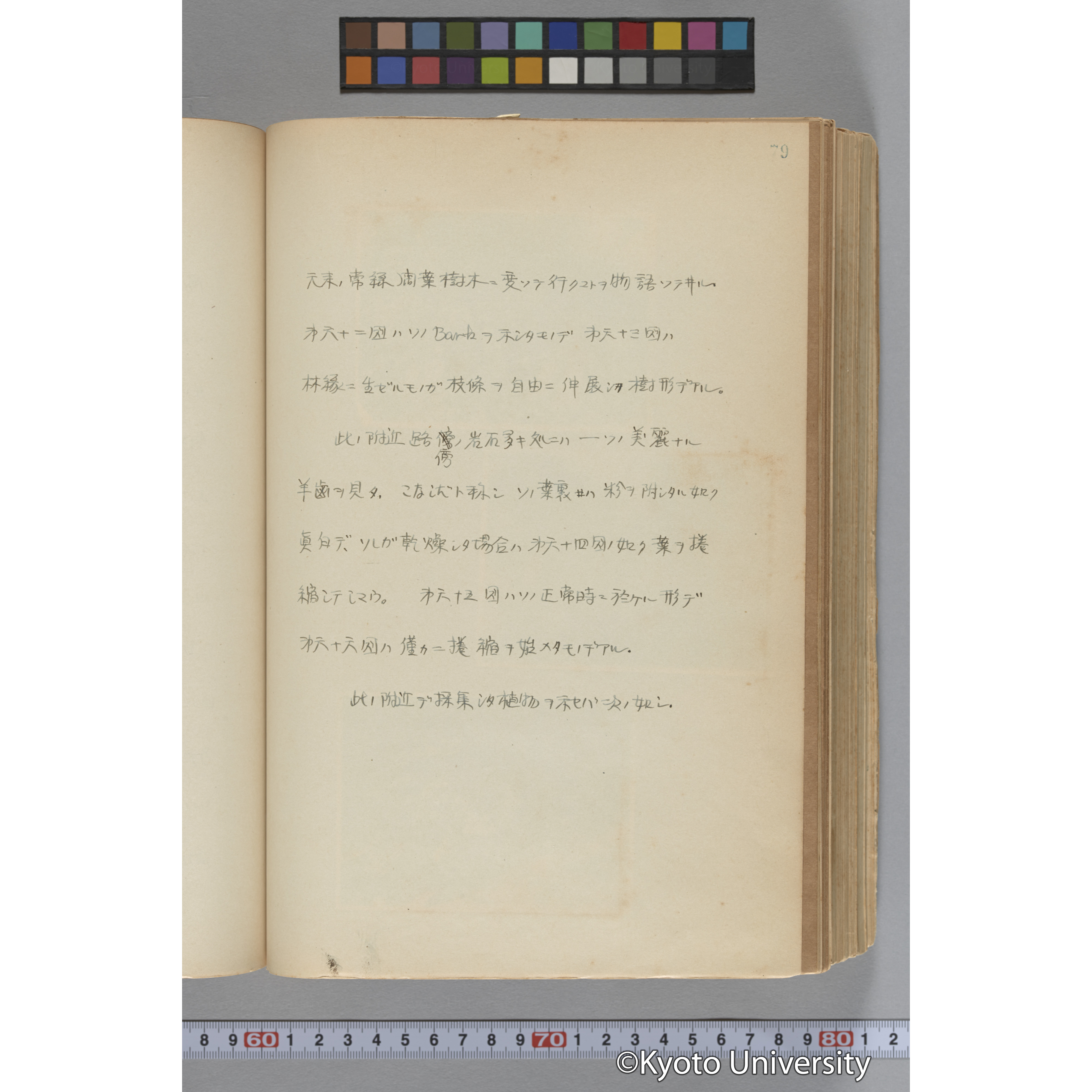 台湾演習林植物調査報告. 第一予報. 1931 植物調査班 (108)
