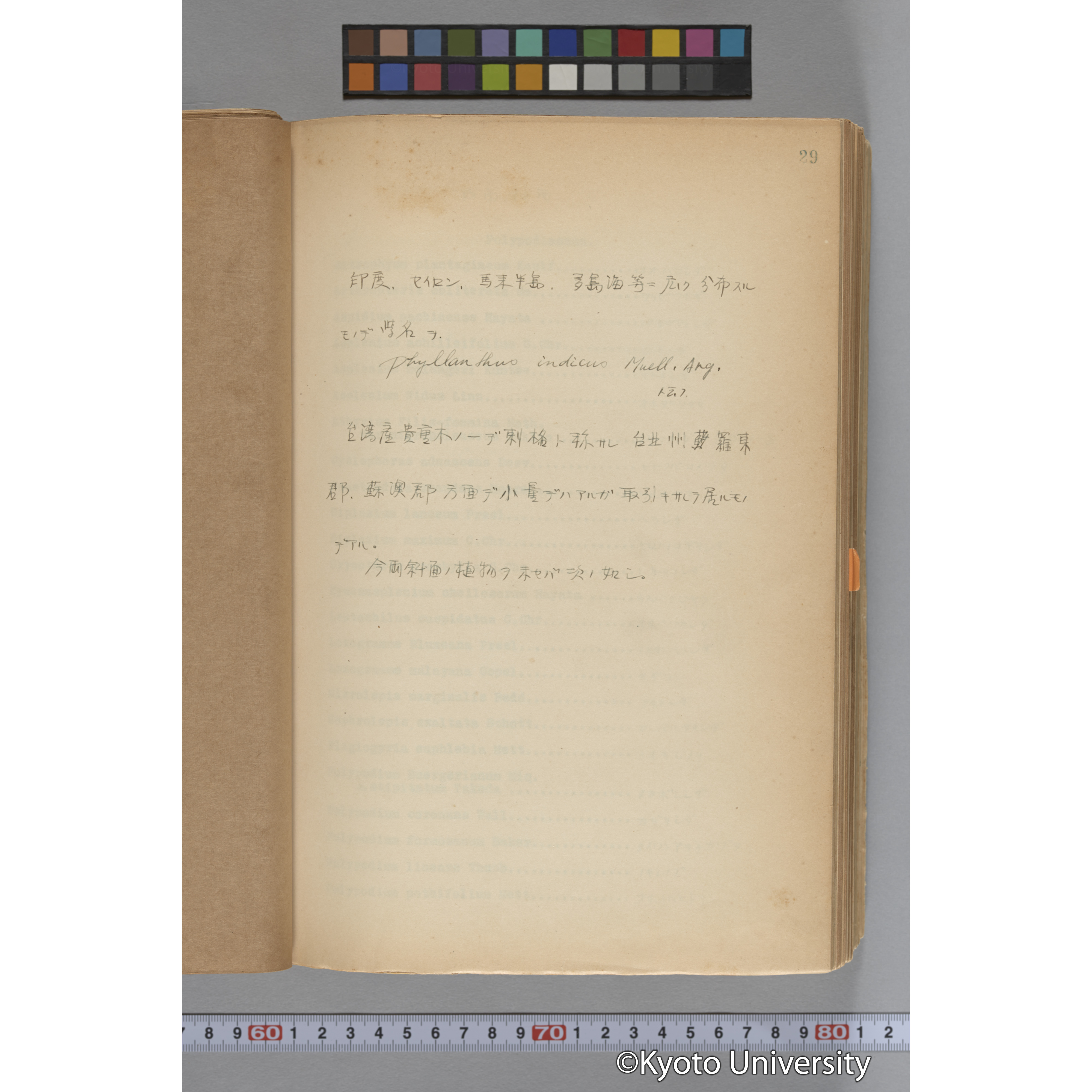 台湾演習林植物調査報告. 第一予報. 1931 植物調査班 (110)