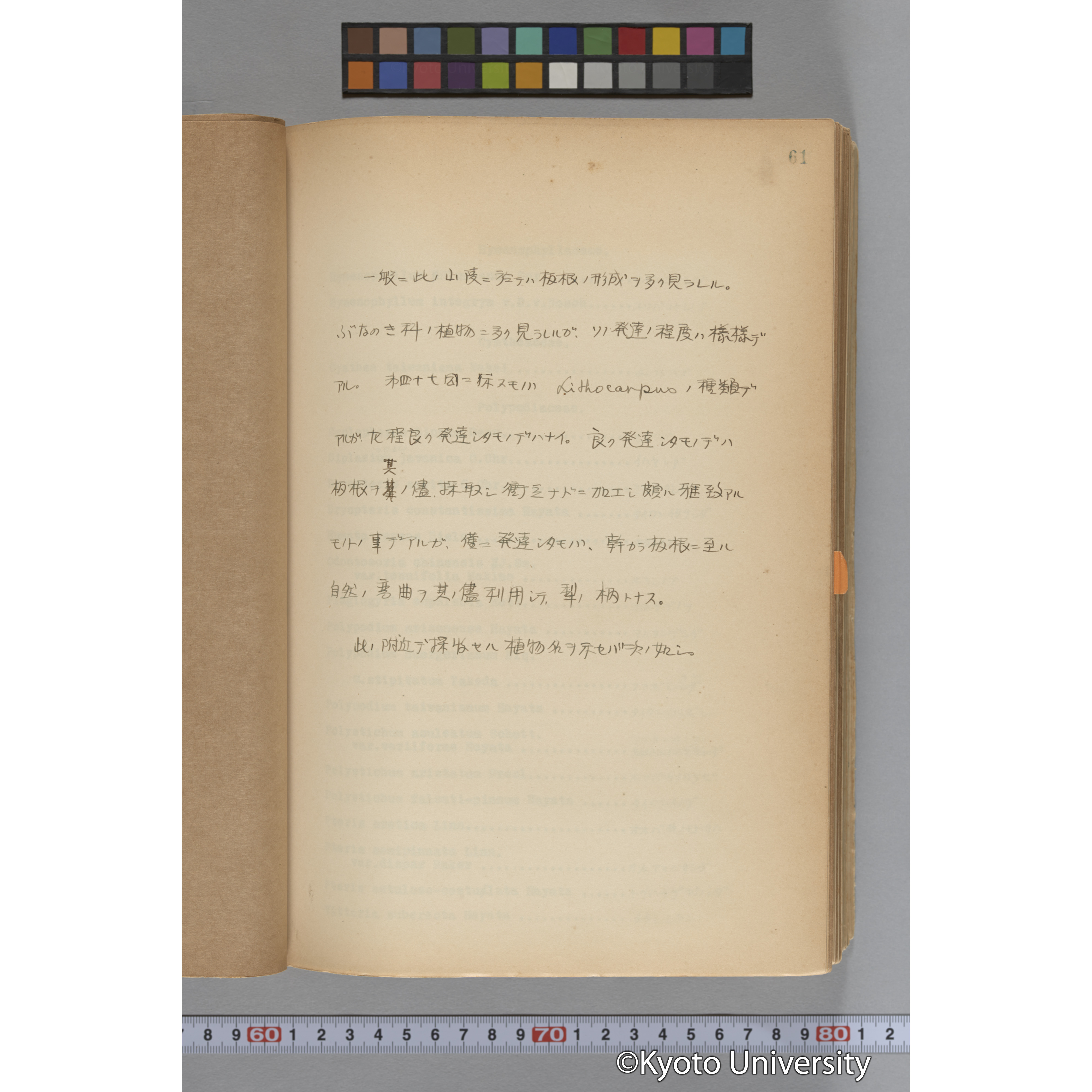 台湾演習林植物調査報告. 第一予報. 1931 植物調査班 (115)