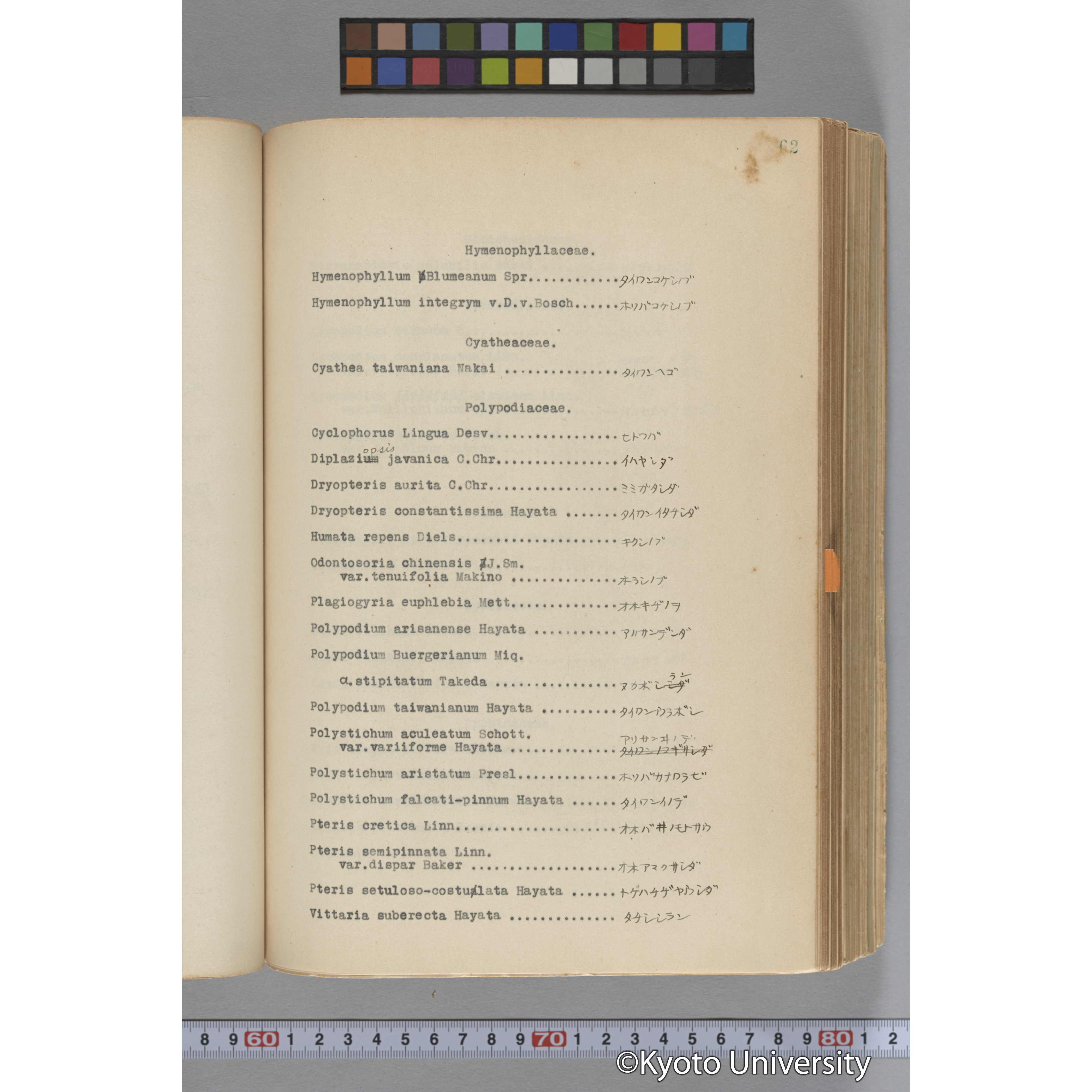 台湾演習林植物調査報告. 第一予報. 1931 植物調査班 (116)