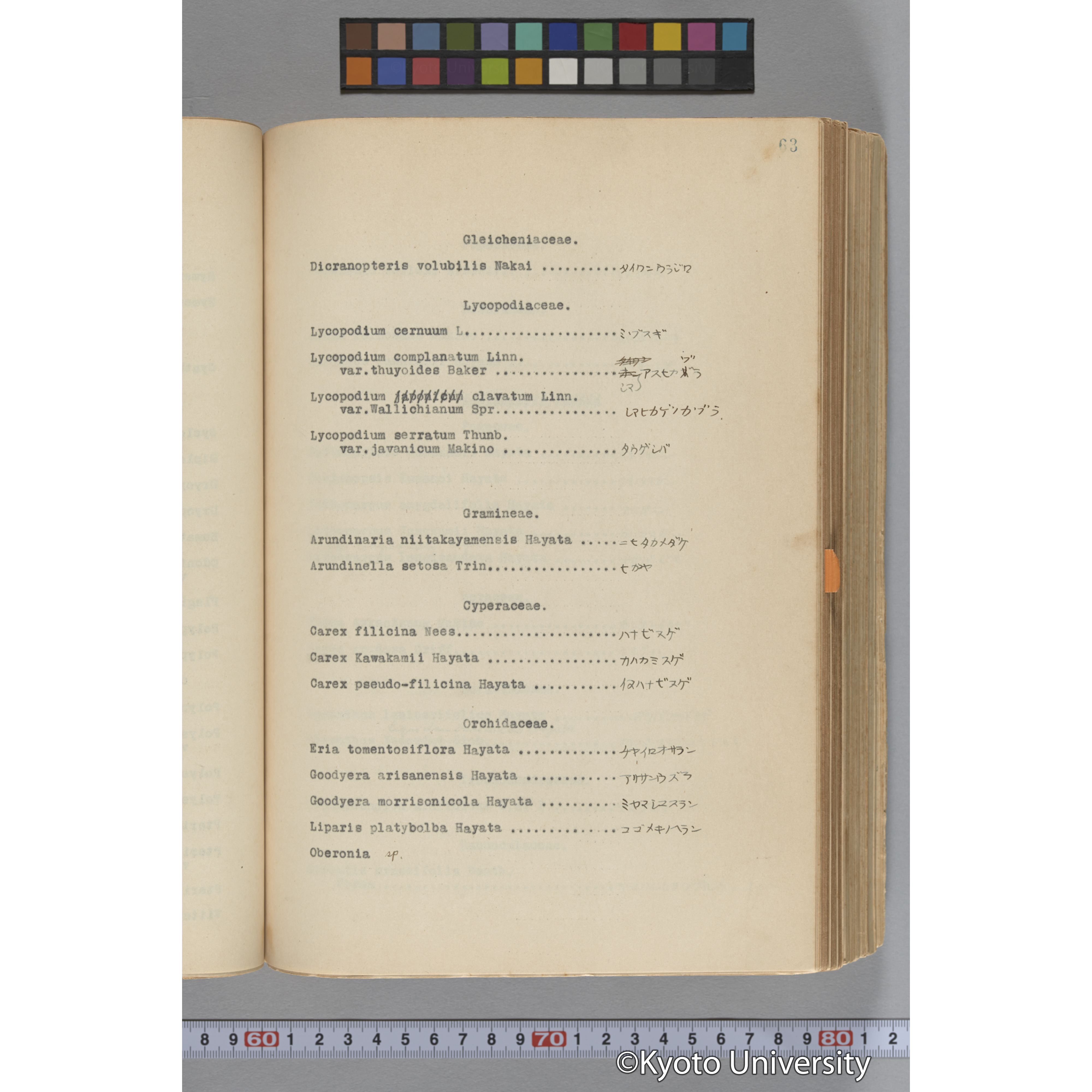 台湾演習林植物調査報告. 第一予報. 1931 植物調査班 (117)