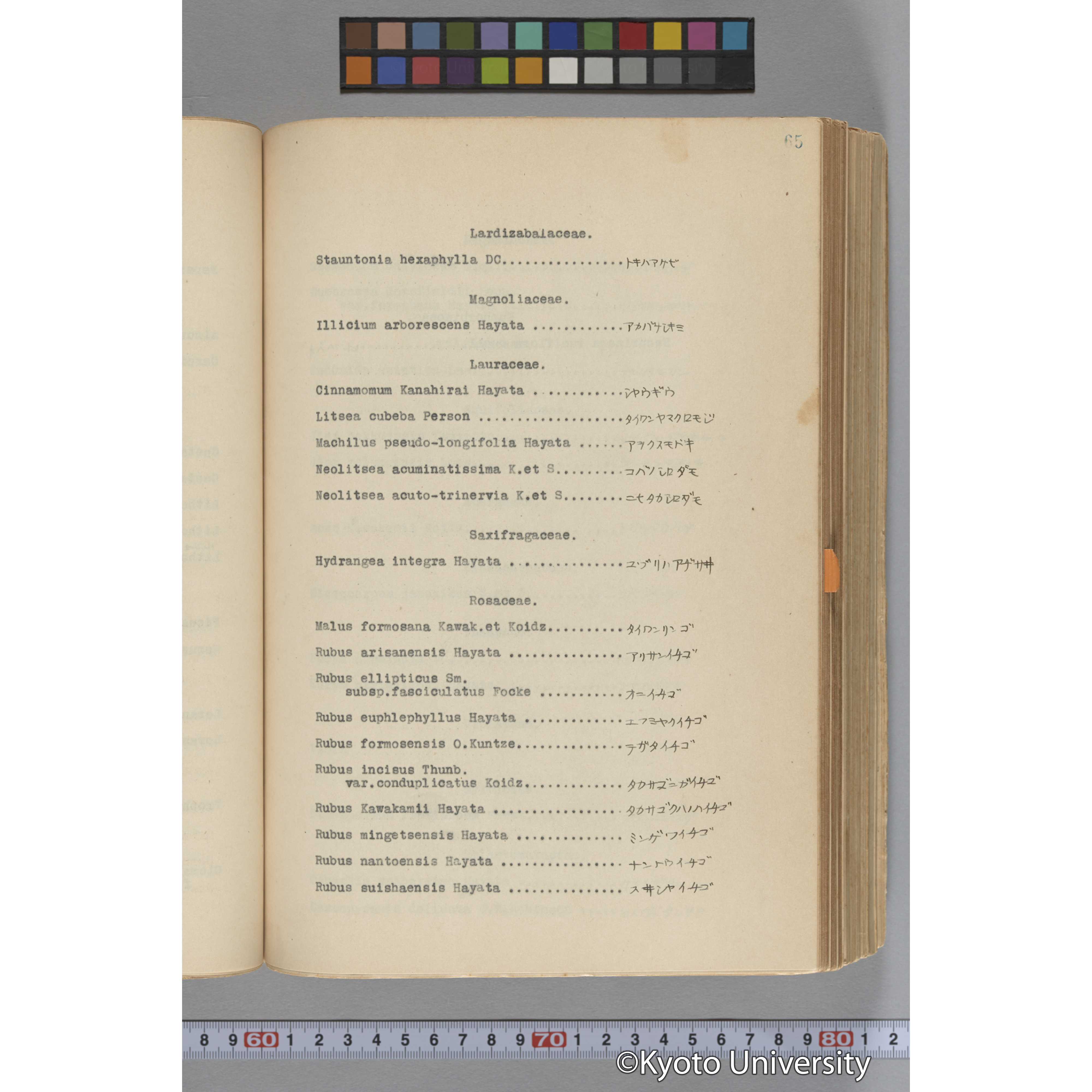 台湾演習林植物調査報告. 第一予報. 1931 植物調査班 (119)