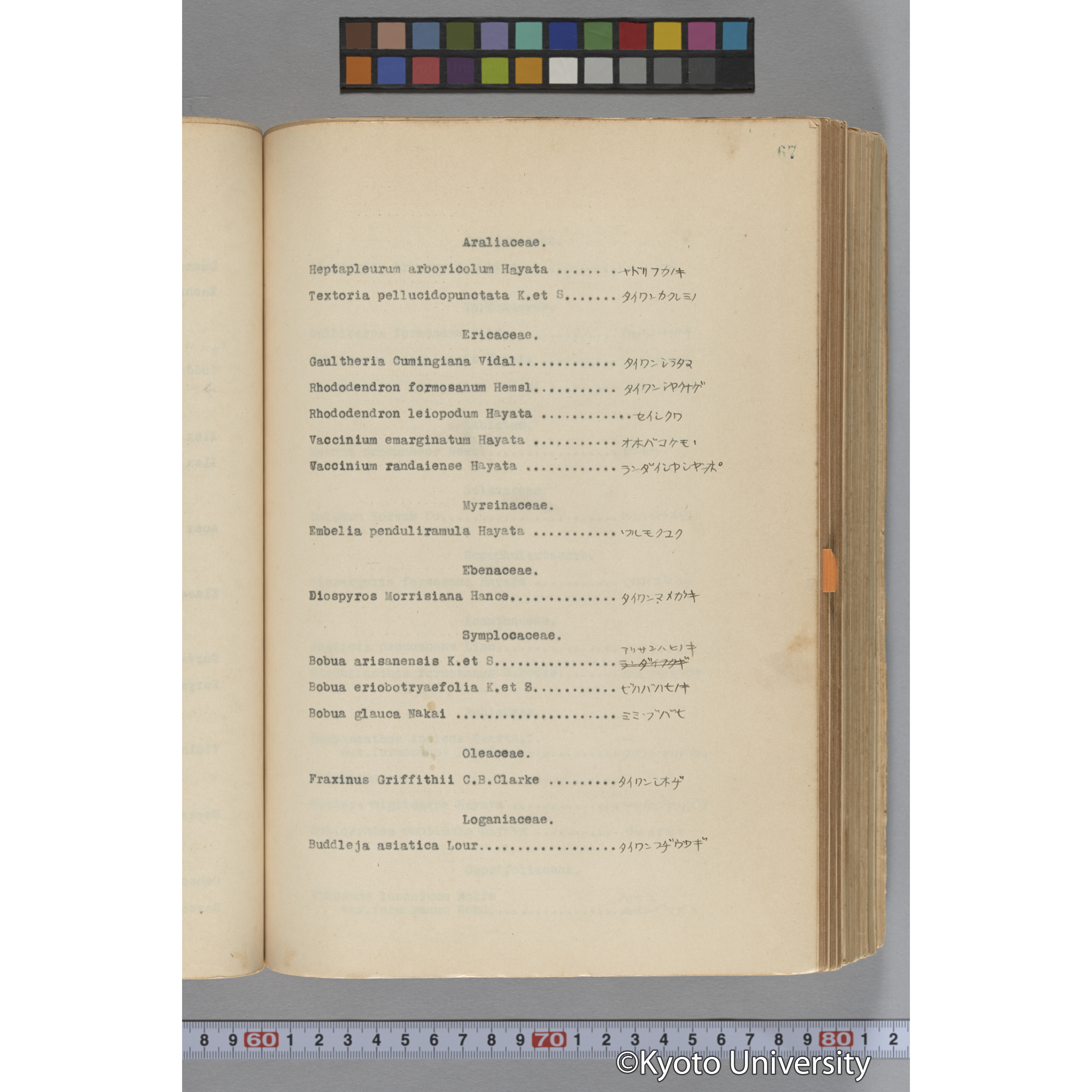 台湾演習林植物調査報告. 第一予報. 1931 植物調査班 (121)