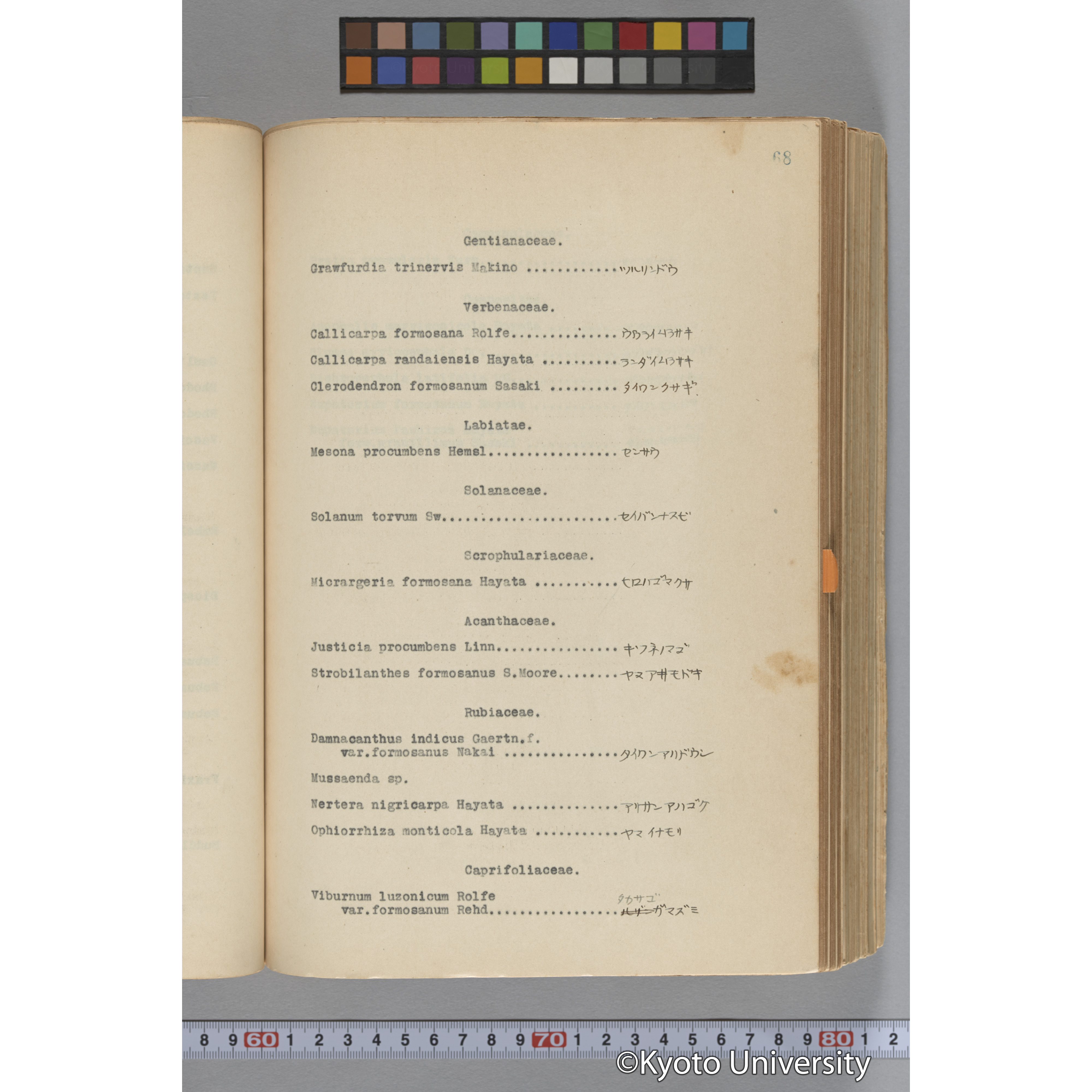 台湾演習林植物調査報告. 第一予報. 1931 植物調査班 (122)