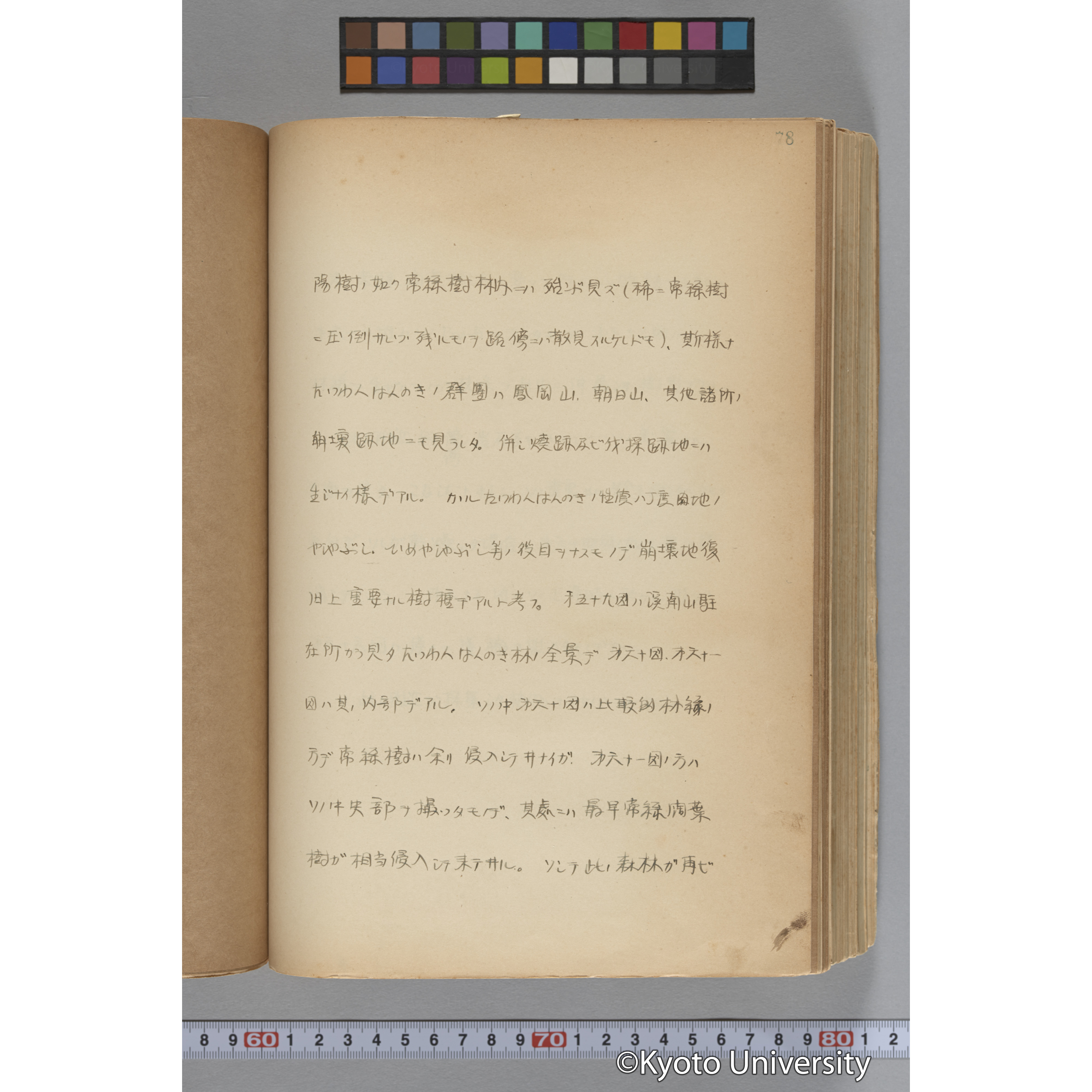 台湾演習林植物調査報告. 第一予報. 1931 植物調査班 (124)