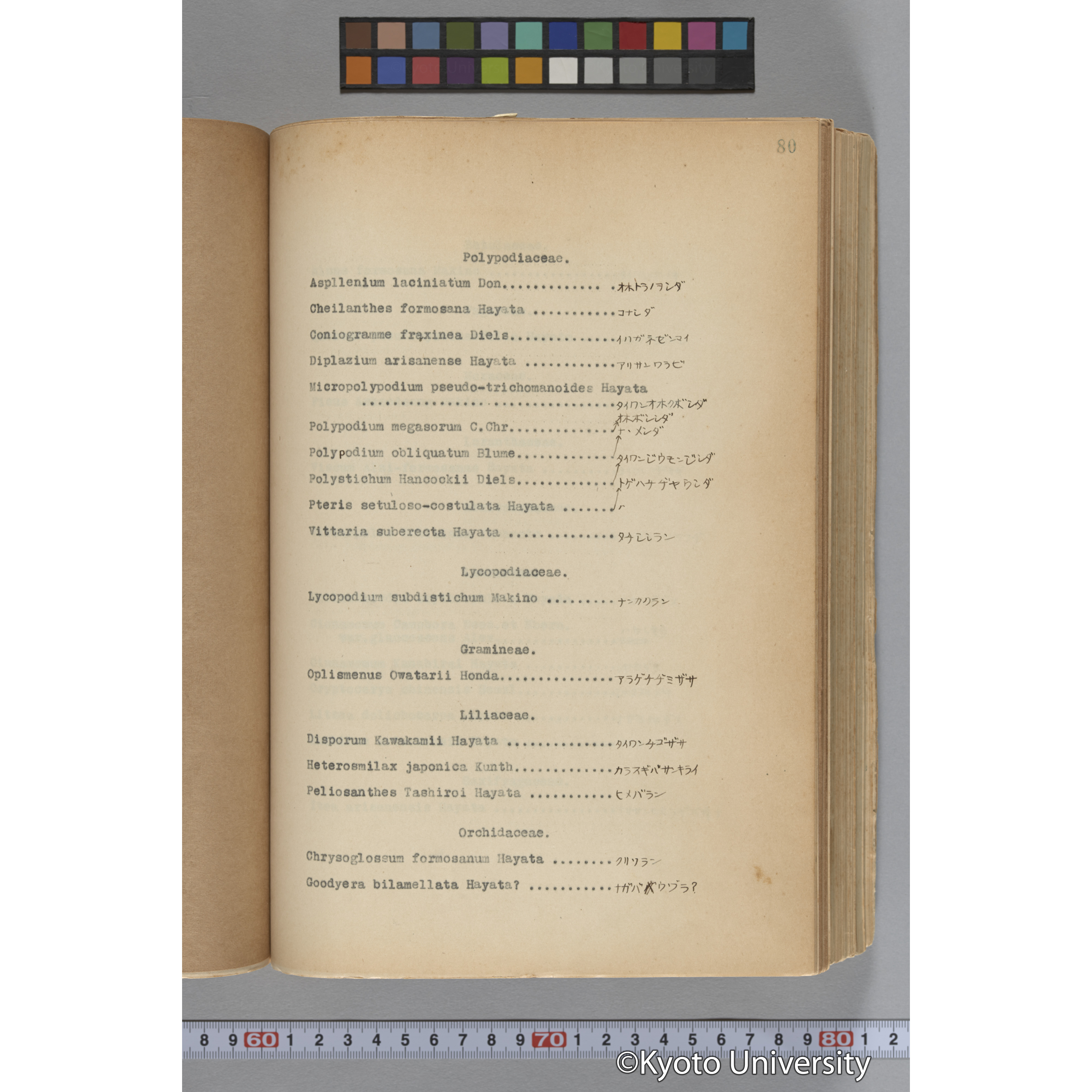 台湾演習林植物調査報告. 第一予報. 1931 植物調査班 (125)