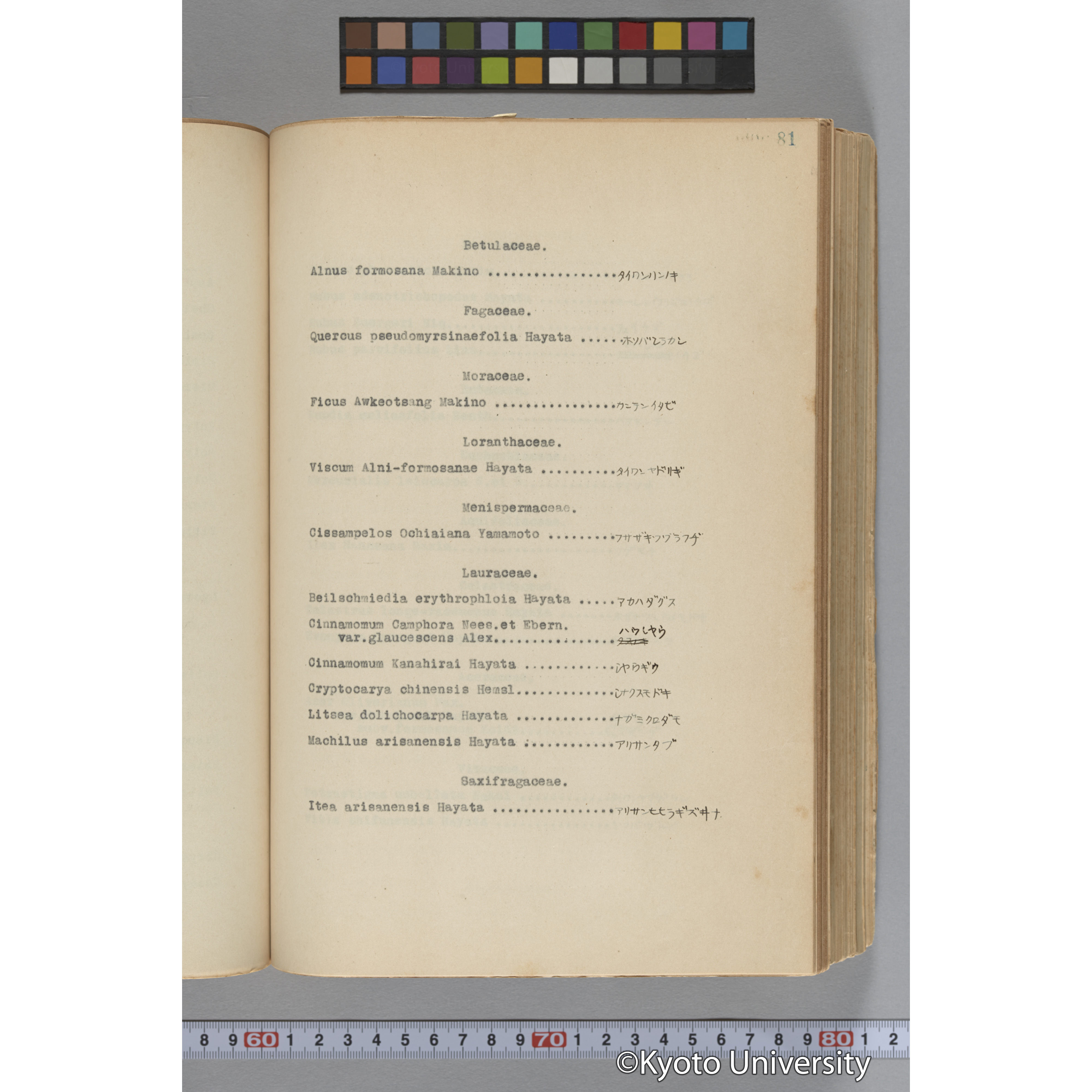 台湾演習林植物調査報告. 第一予報. 1931 植物調査班 (126)