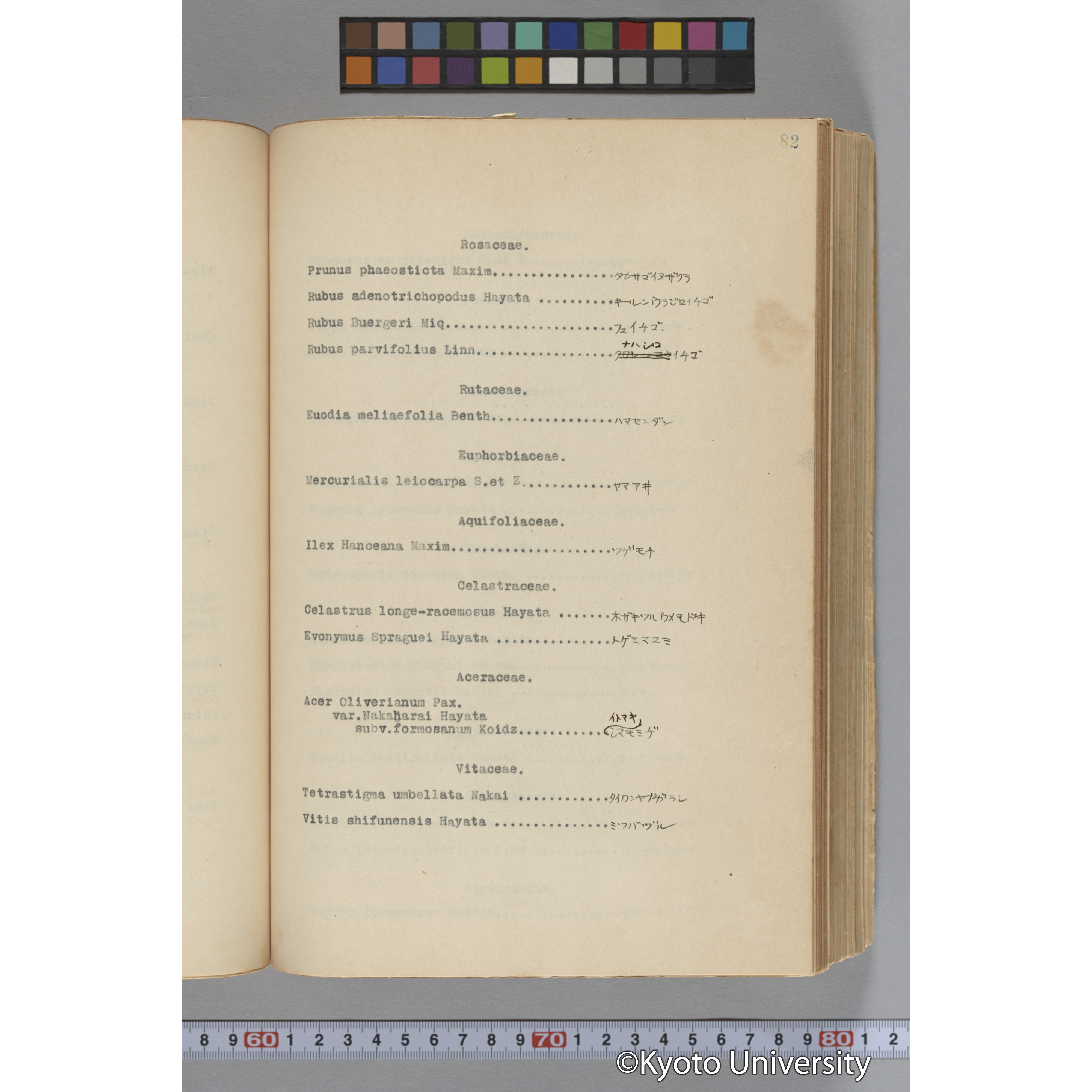 台湾演習林植物調査報告. 第一予報. 1931 植物調査班 (127)