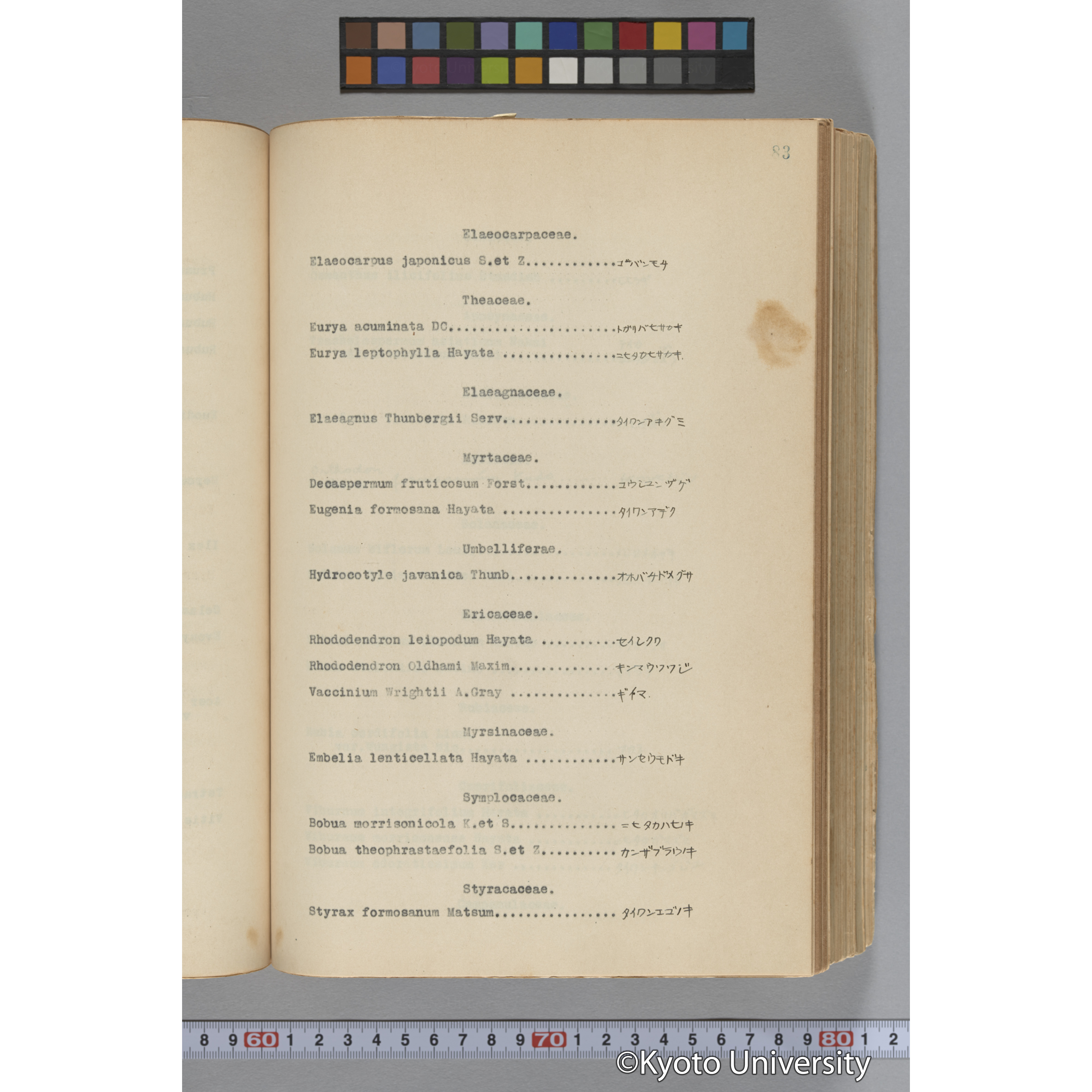 台湾演習林植物調査報告. 第一予報. 1931 植物調査班 (128)