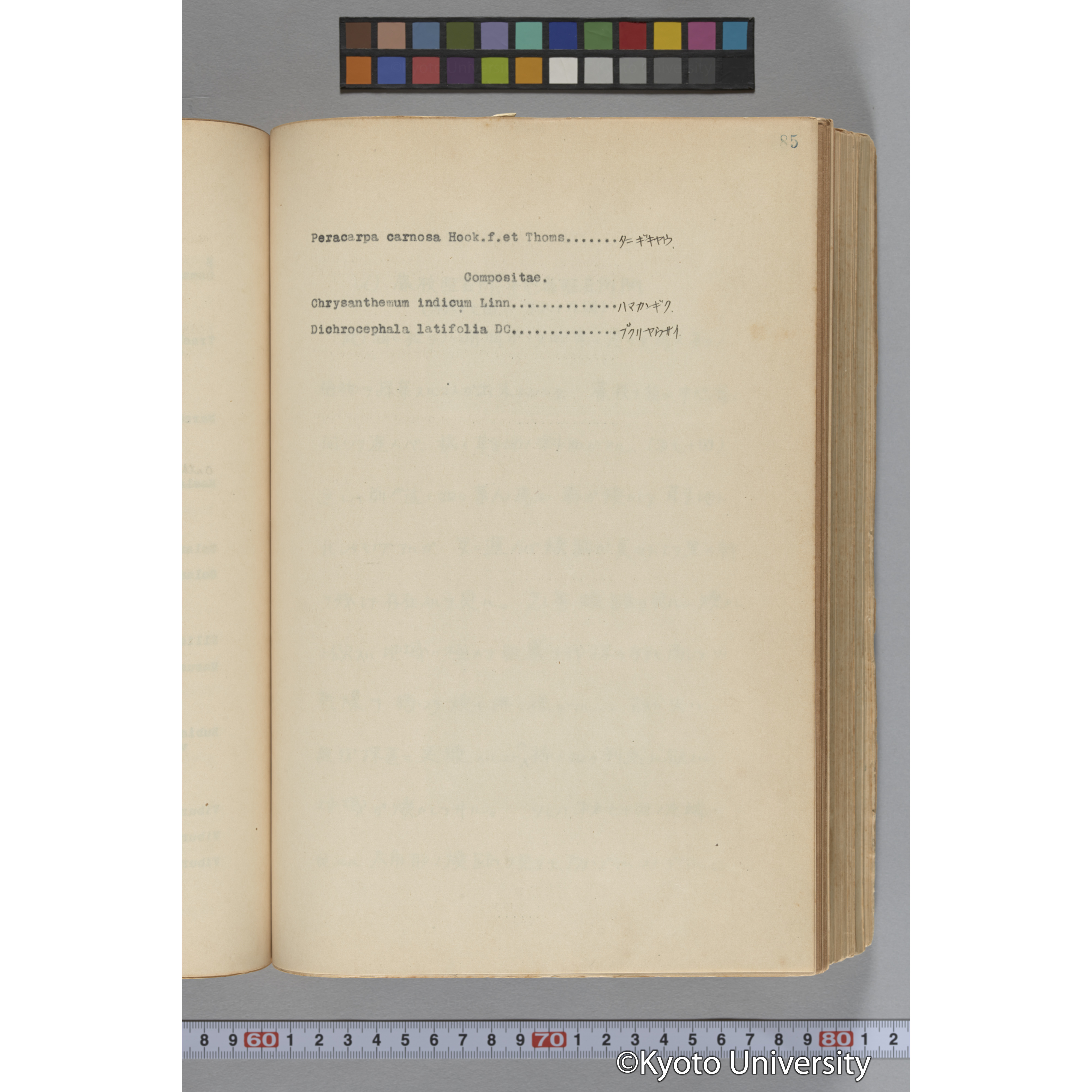 台湾演習林植物調査報告. 第一予報. 1931 植物調査班 (130)