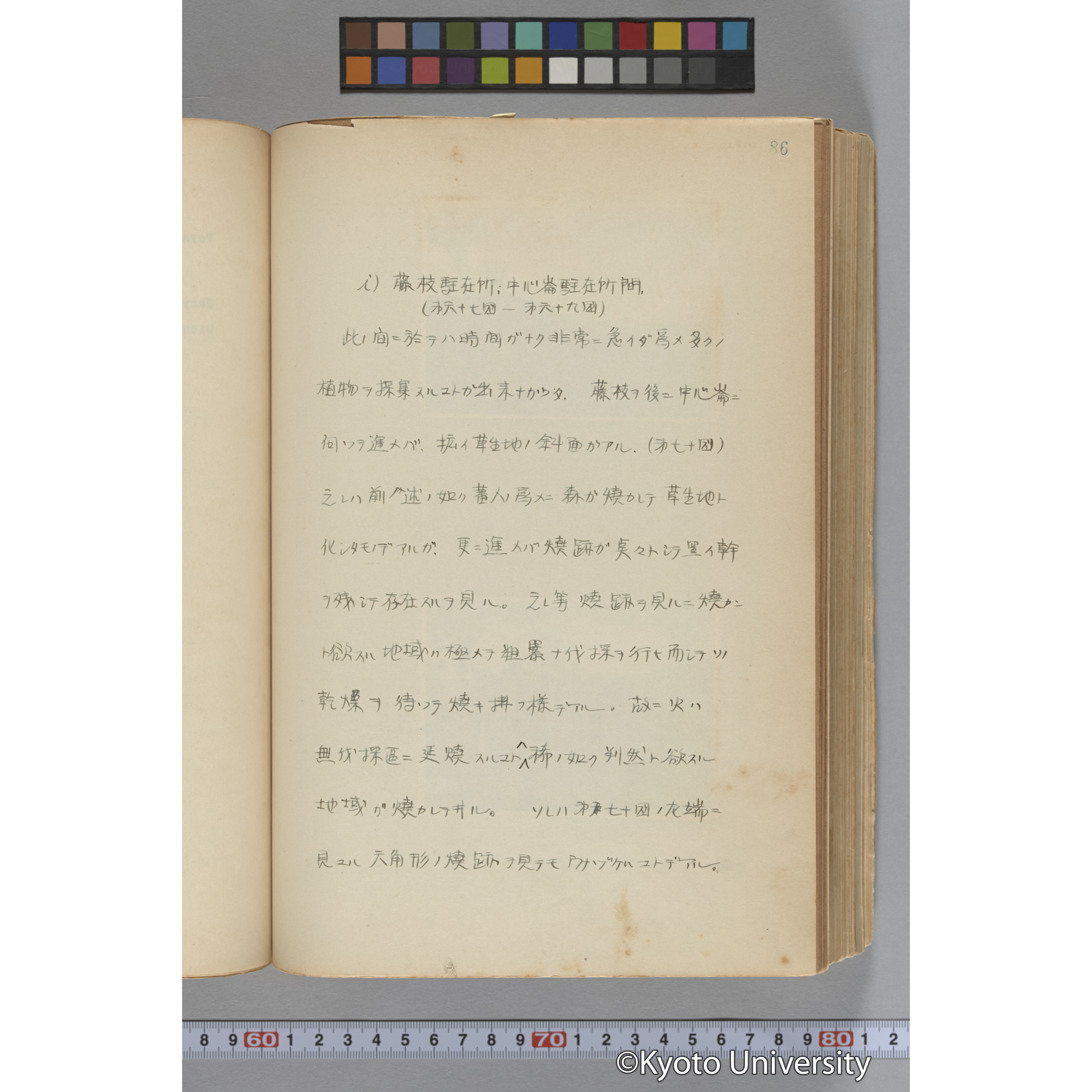 台湾演習林植物調査報告. 第一予報. 1931 植物調査班 (131)