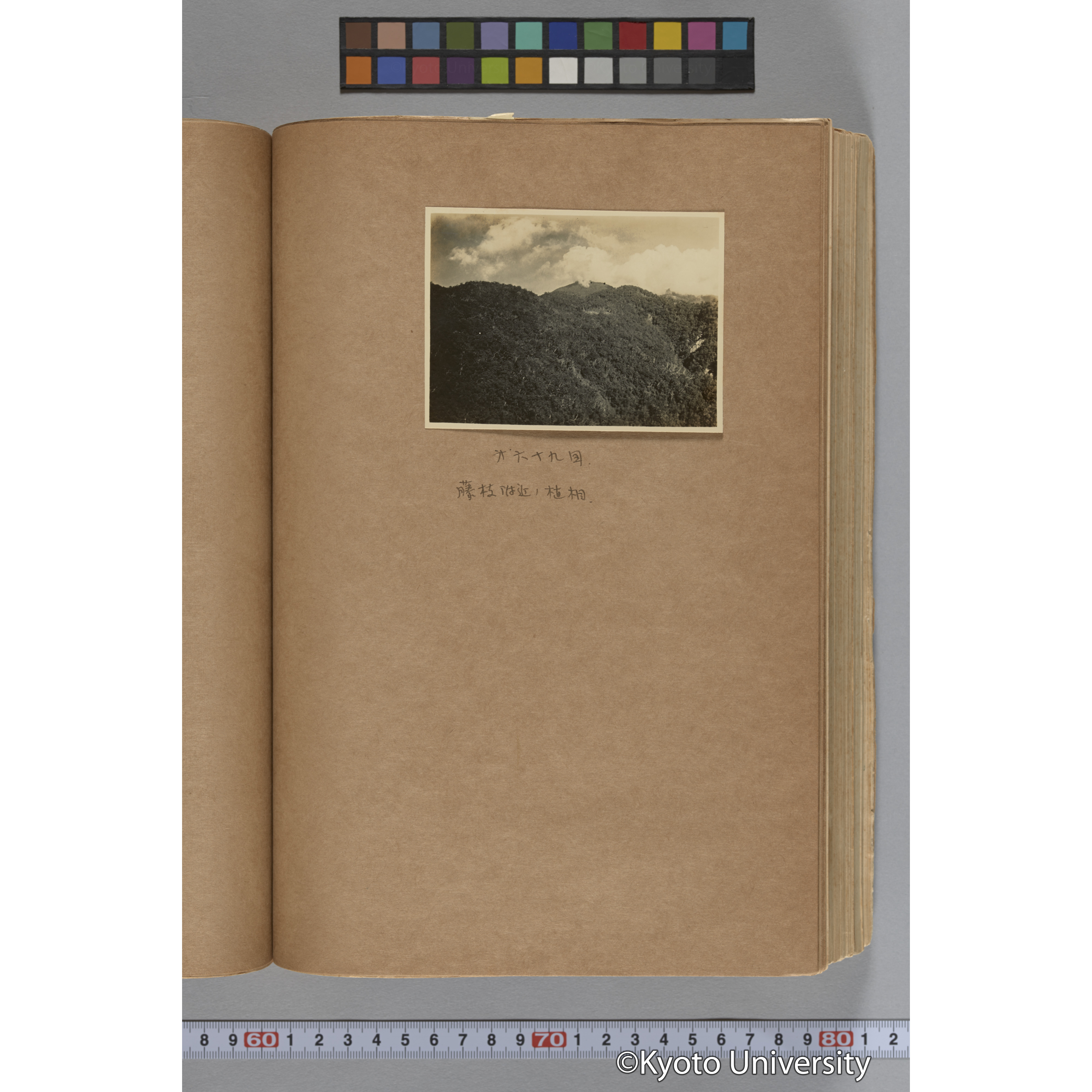 台湾演習林植物調査報告. 第一予報. 1931 植物調査班 (133)