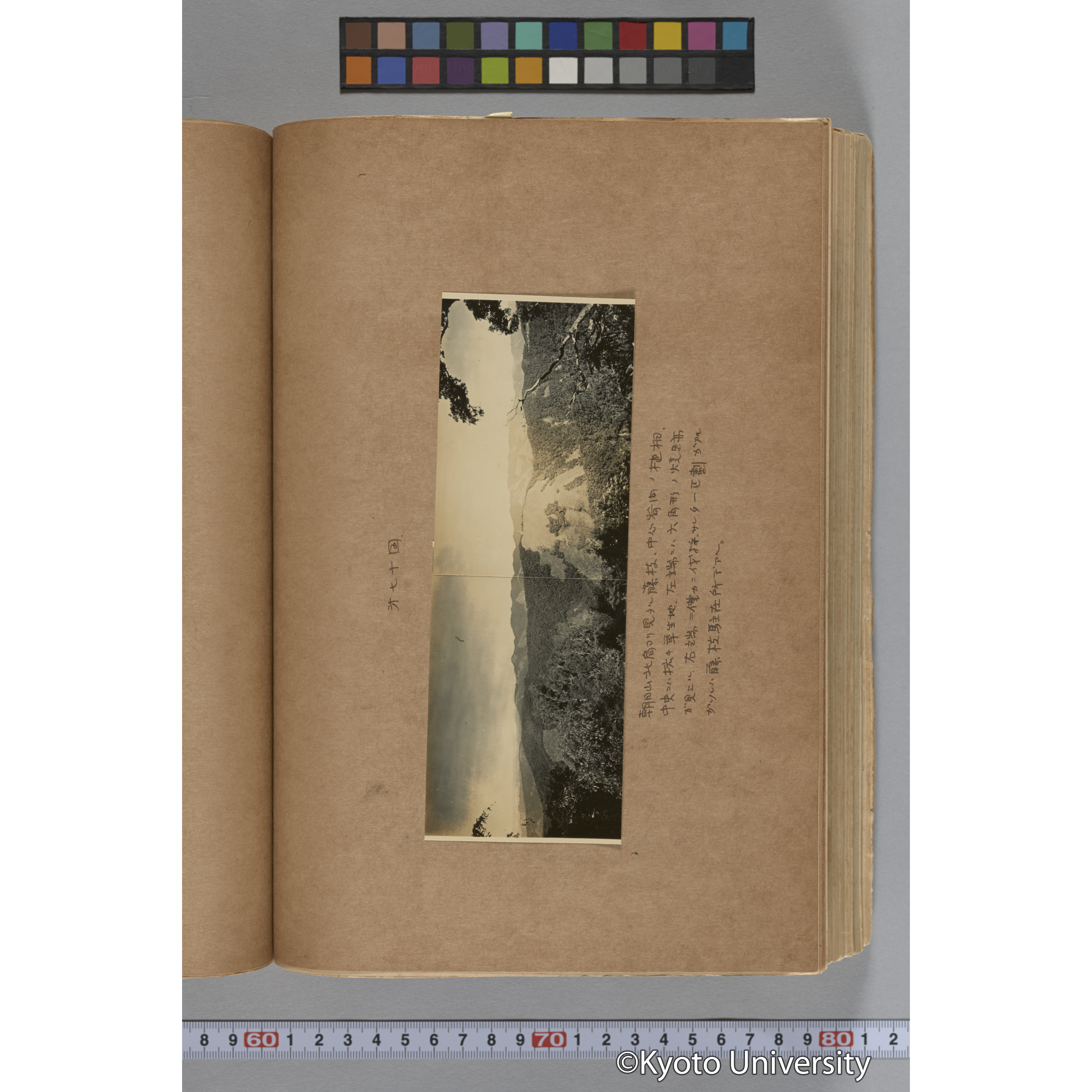 台湾演習林植物調査報告. 第一予報. 1931 植物調査班 (134)