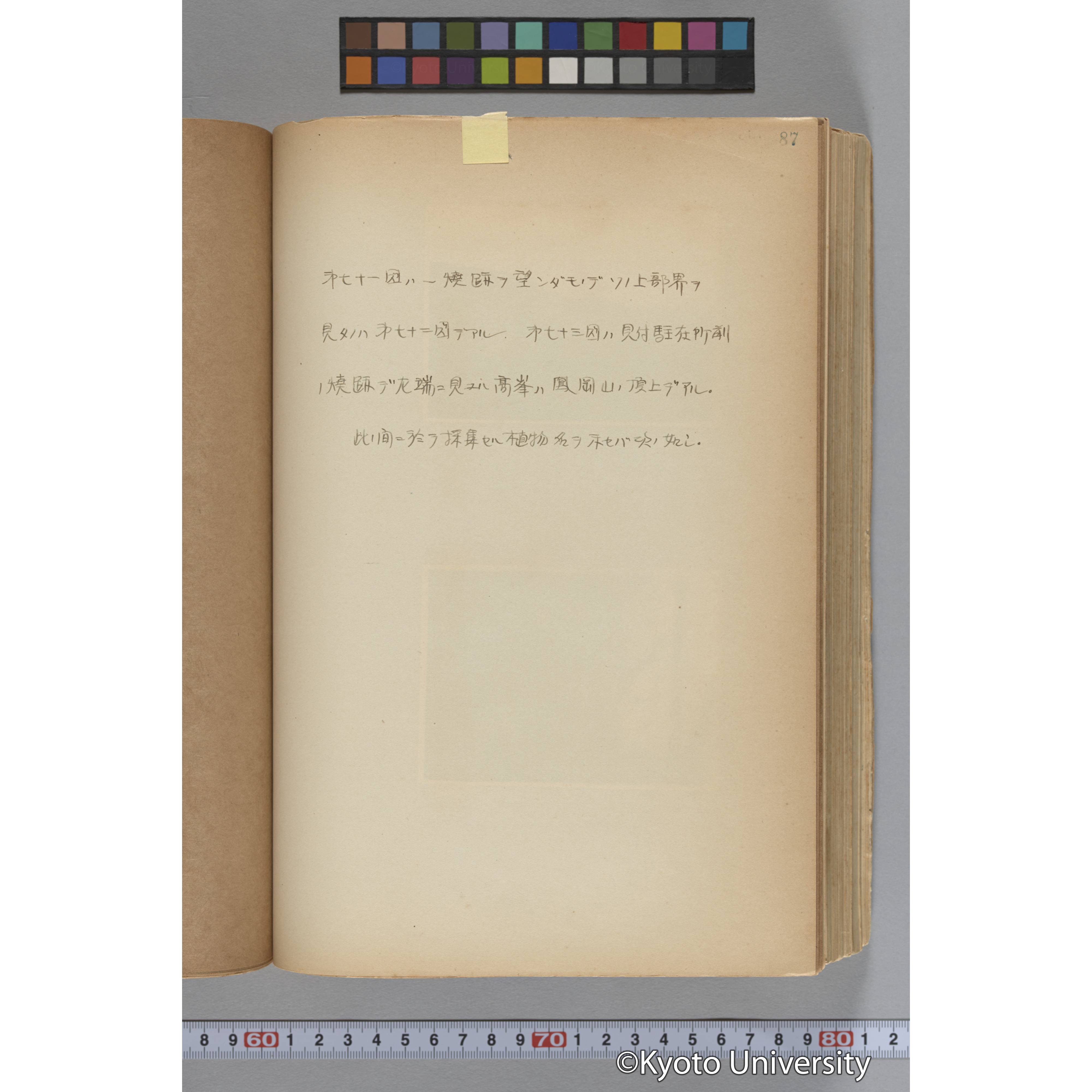 台湾演習林植物調査報告. 第一予報. 1931 植物調査班 (135)