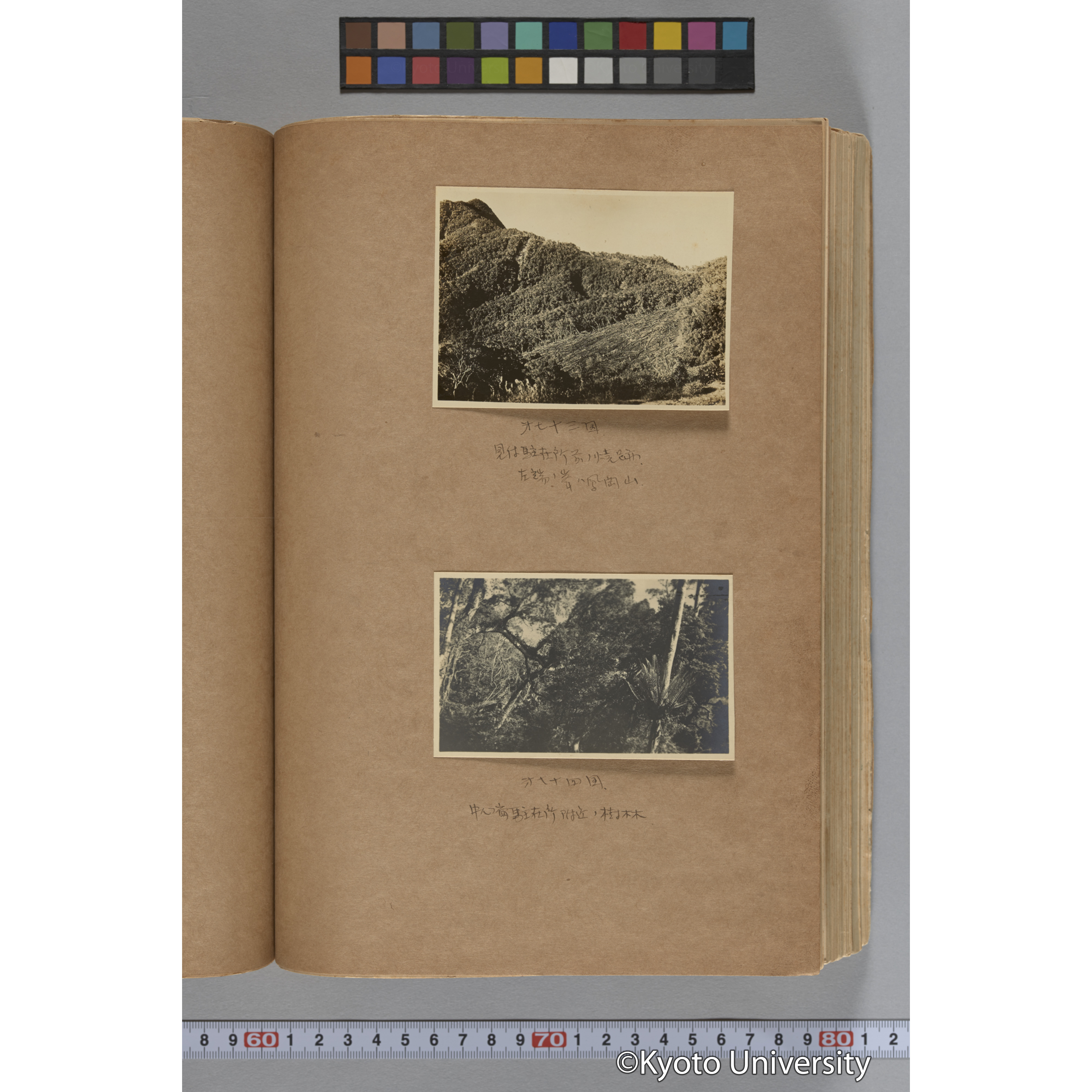 台湾演習林植物調査報告. 第一予報. 1931 植物調査班 (137)