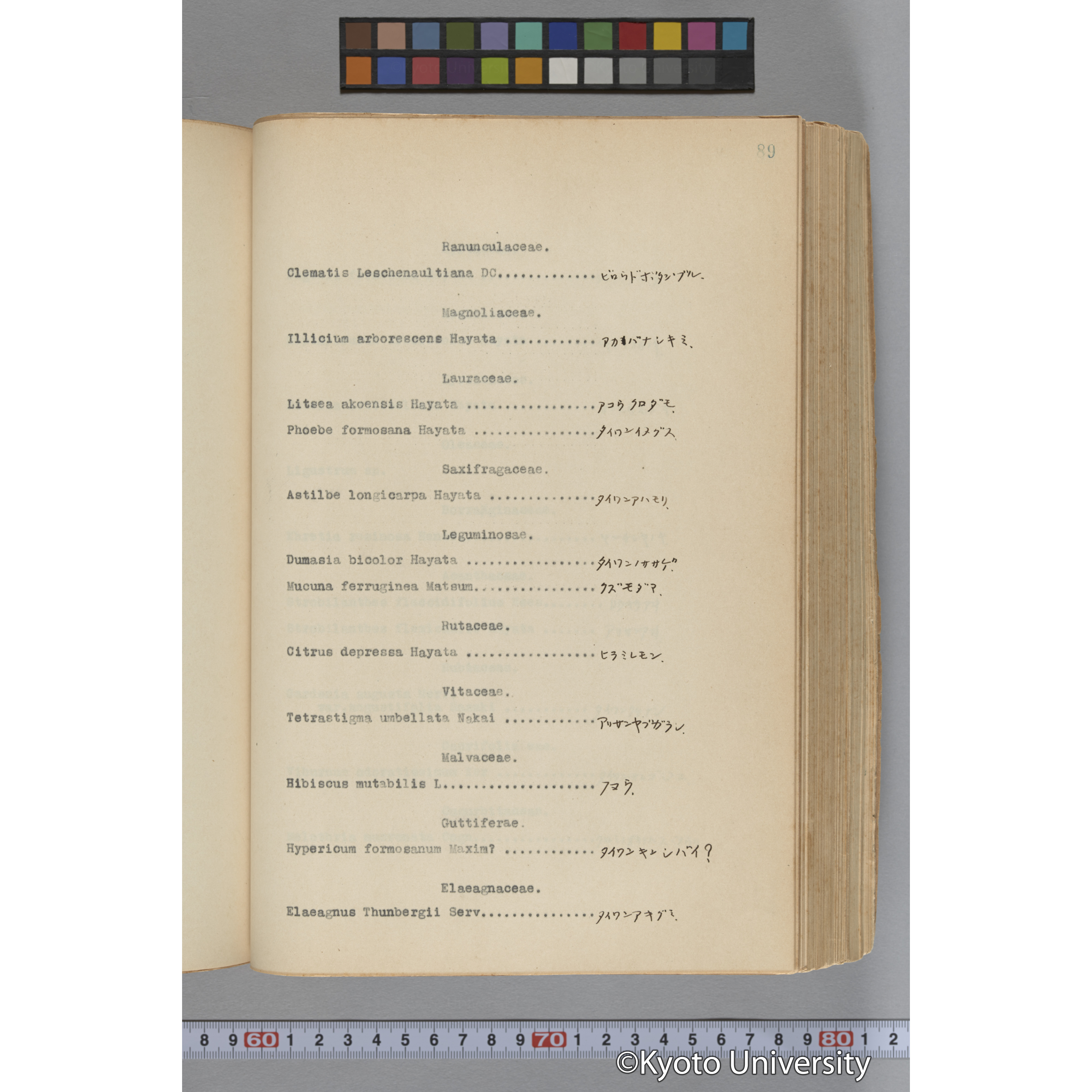 台湾演習林植物調査報告. 第一予報. 1931 植物調査班 (139)