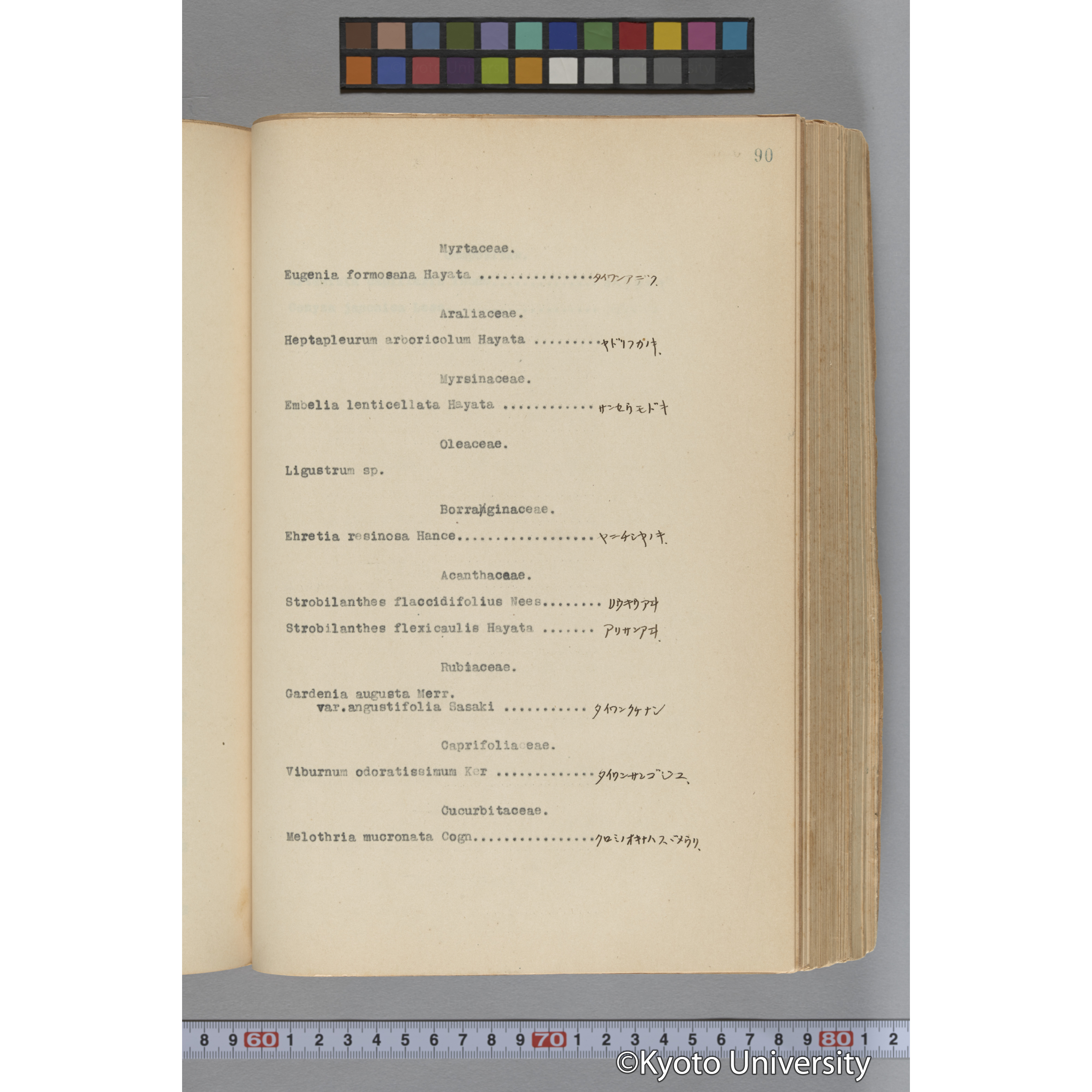 台湾演習林植物調査報告. 第一予報. 1931 植物調査班 (140)