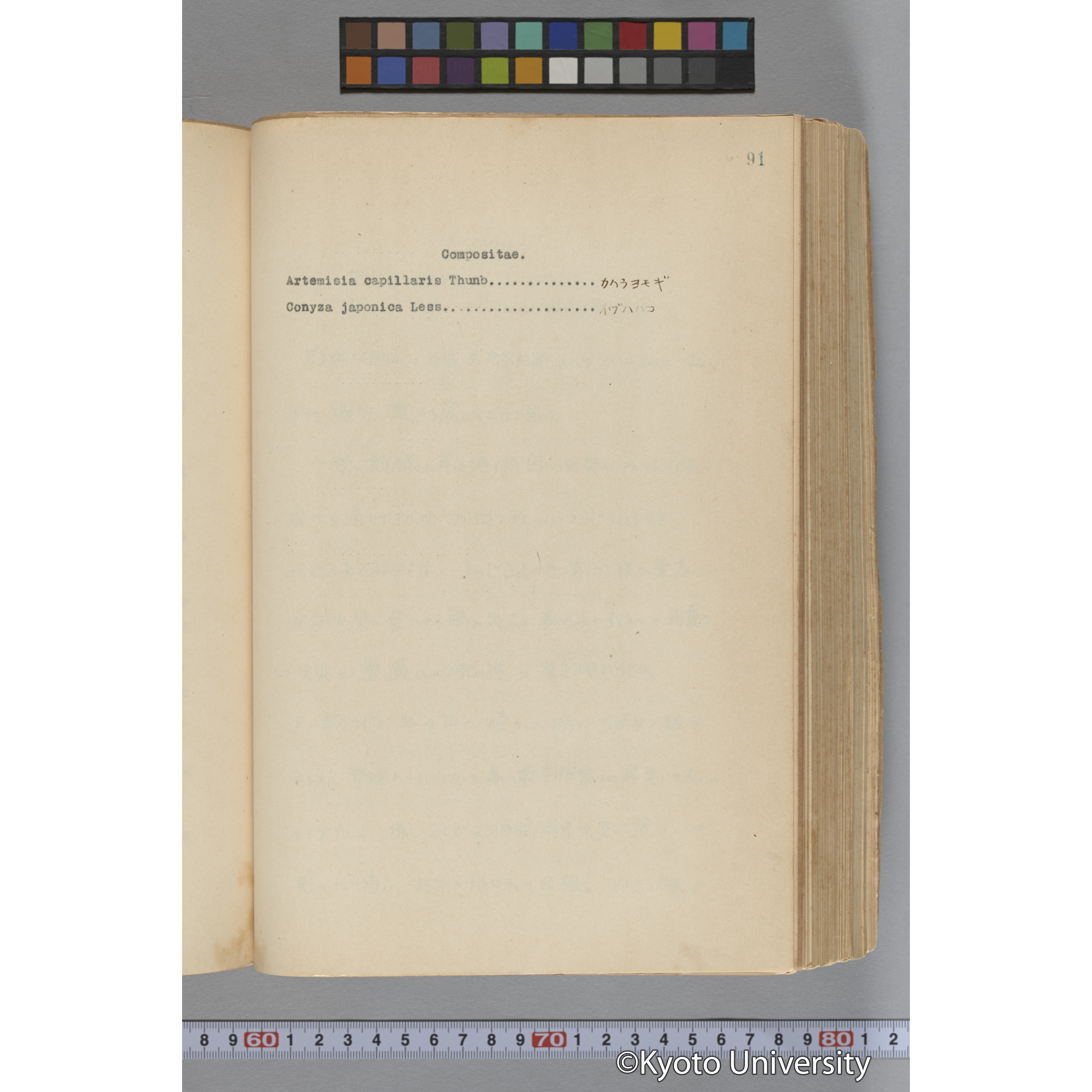 台湾演習林植物調査報告. 第一予報. 1931 植物調査班 (141)