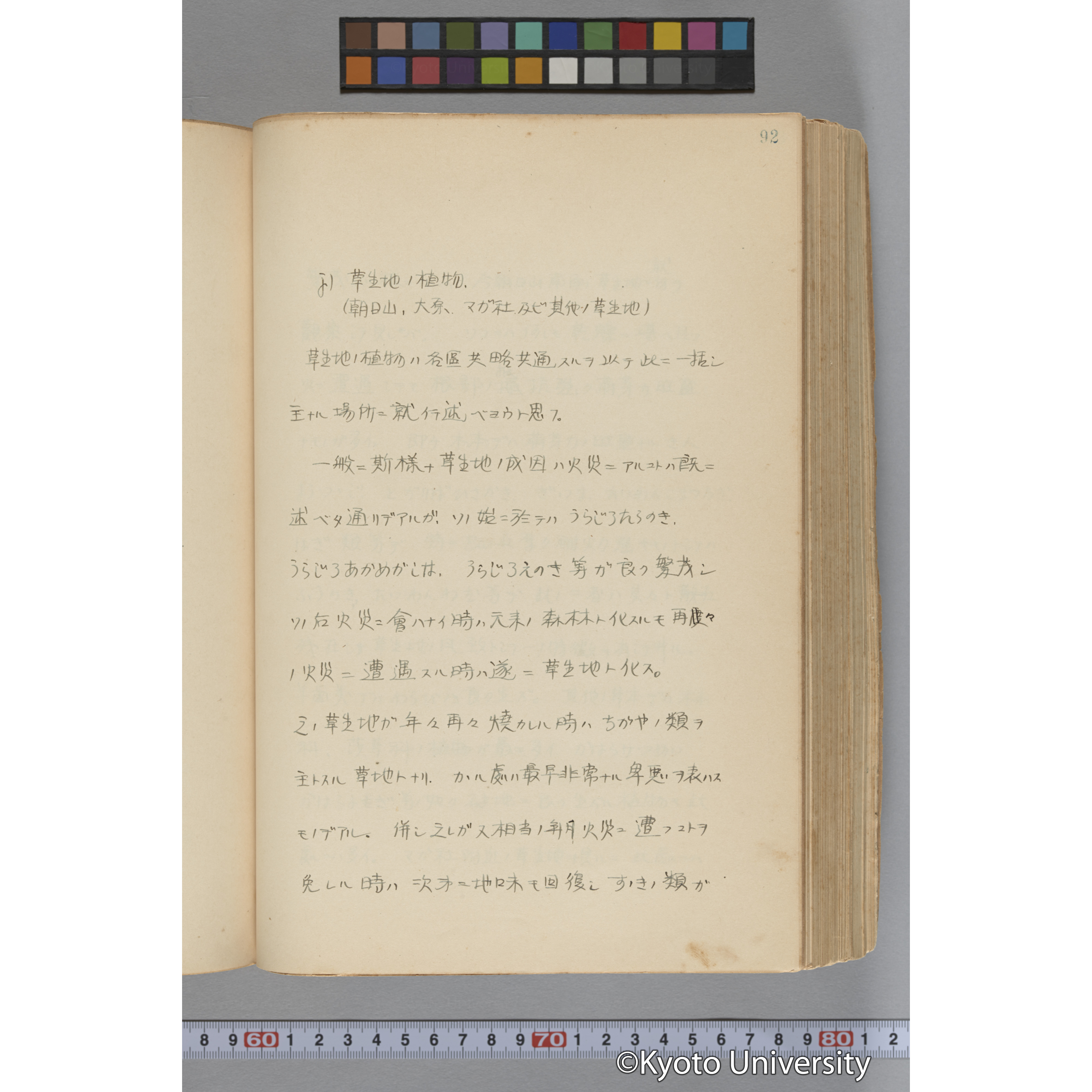 台湾演習林植物調査報告. 第一予報. 1931 植物調査班 (142)