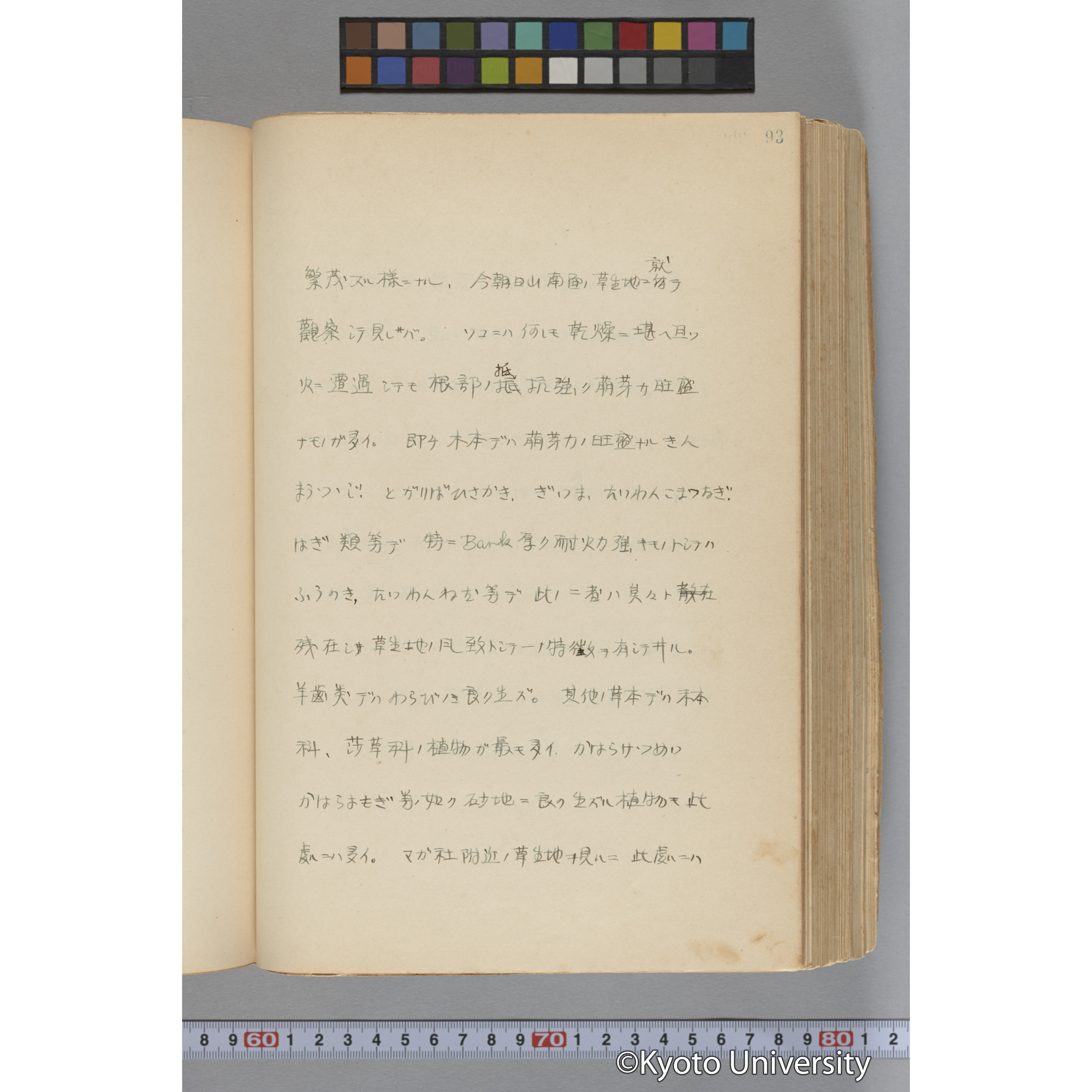 台湾演習林植物調査報告. 第一予報. 1931 植物調査班 (143)