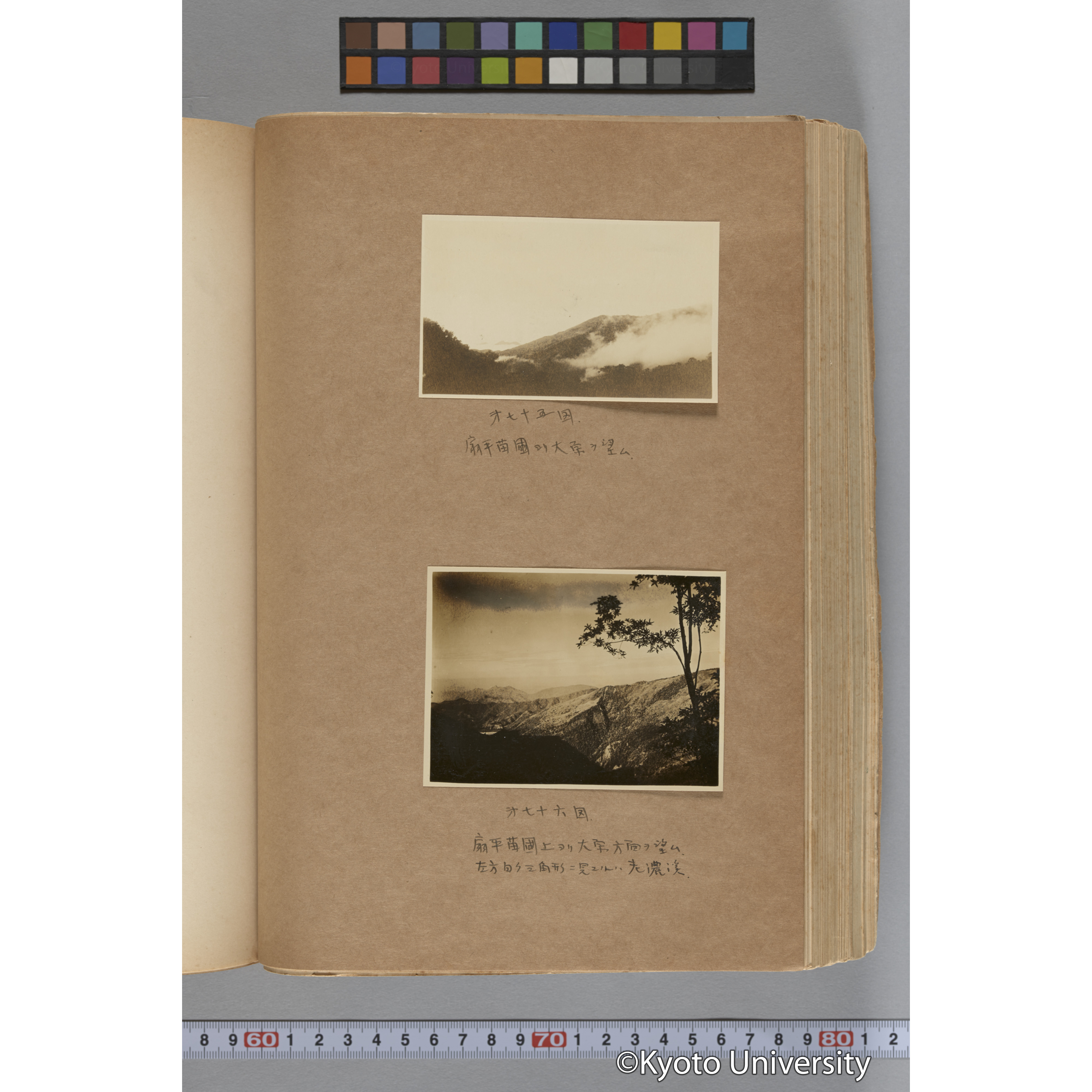 台湾演習林植物調査報告. 第一予報. 1931 植物調査班 (145)