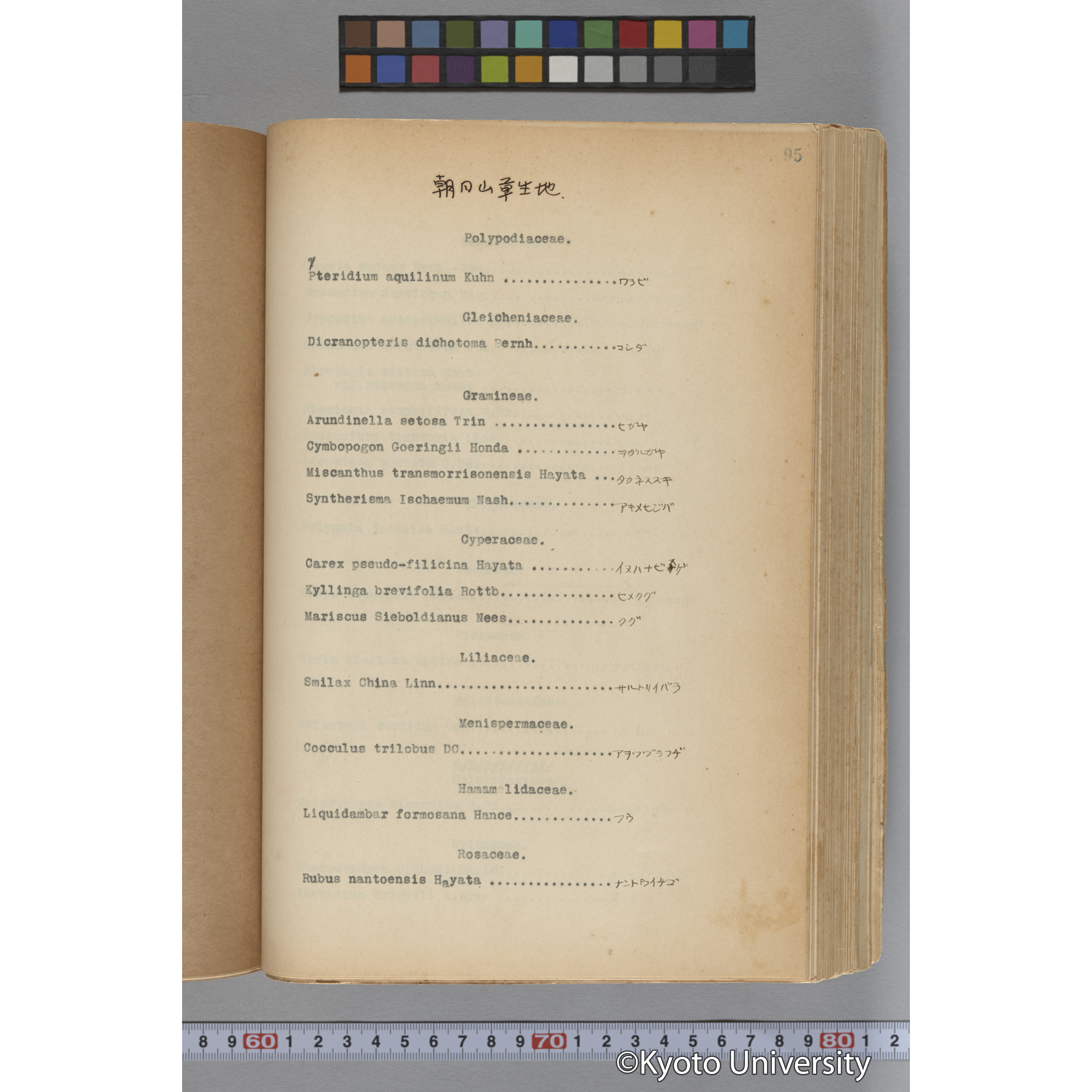 台湾演習林植物調査報告. 第一予報. 1931 植物調査班 (146)