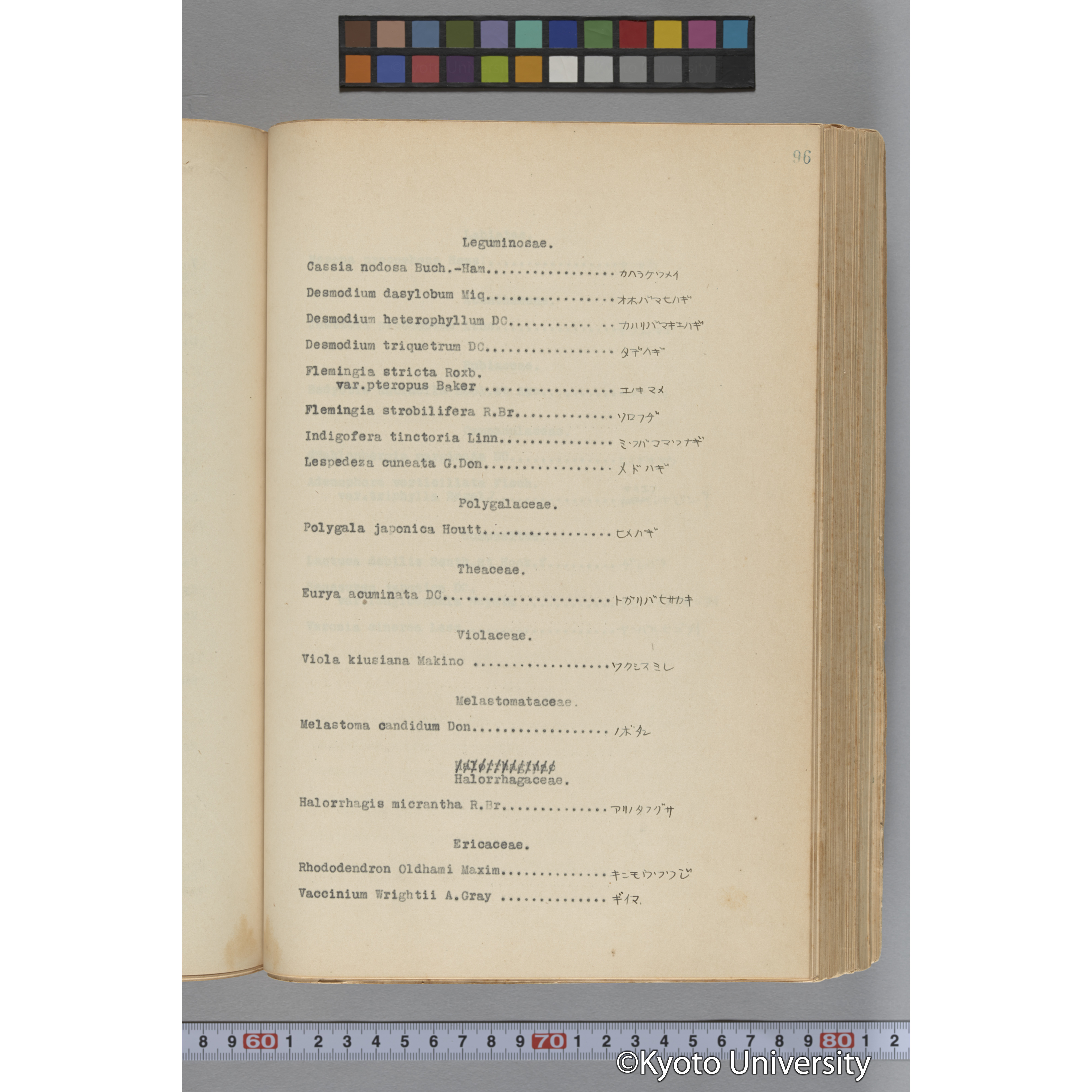 台湾演習林植物調査報告. 第一予報. 1931 植物調査班 (147)