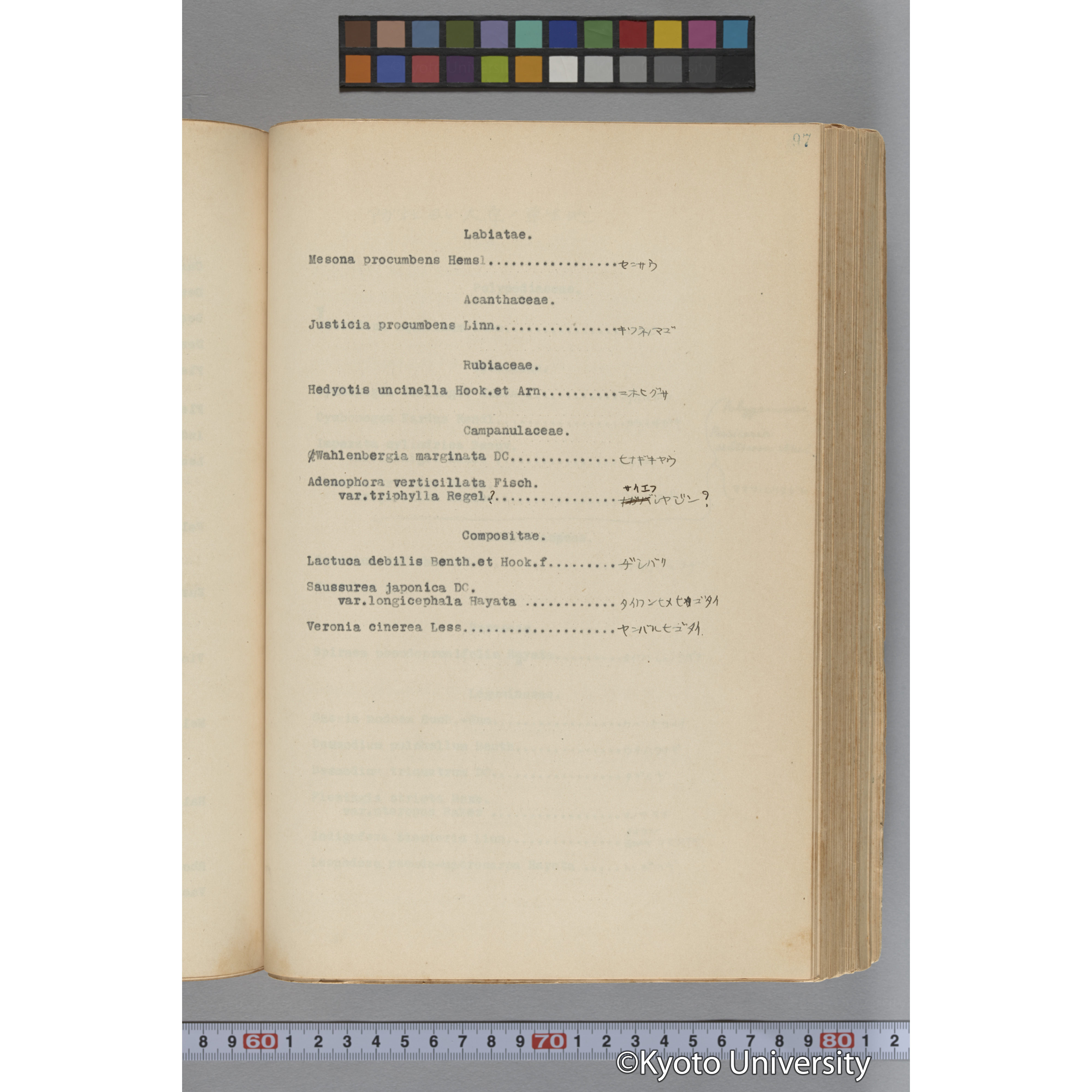 台湾演習林植物調査報告. 第一予報. 1931 植物調査班 (148)