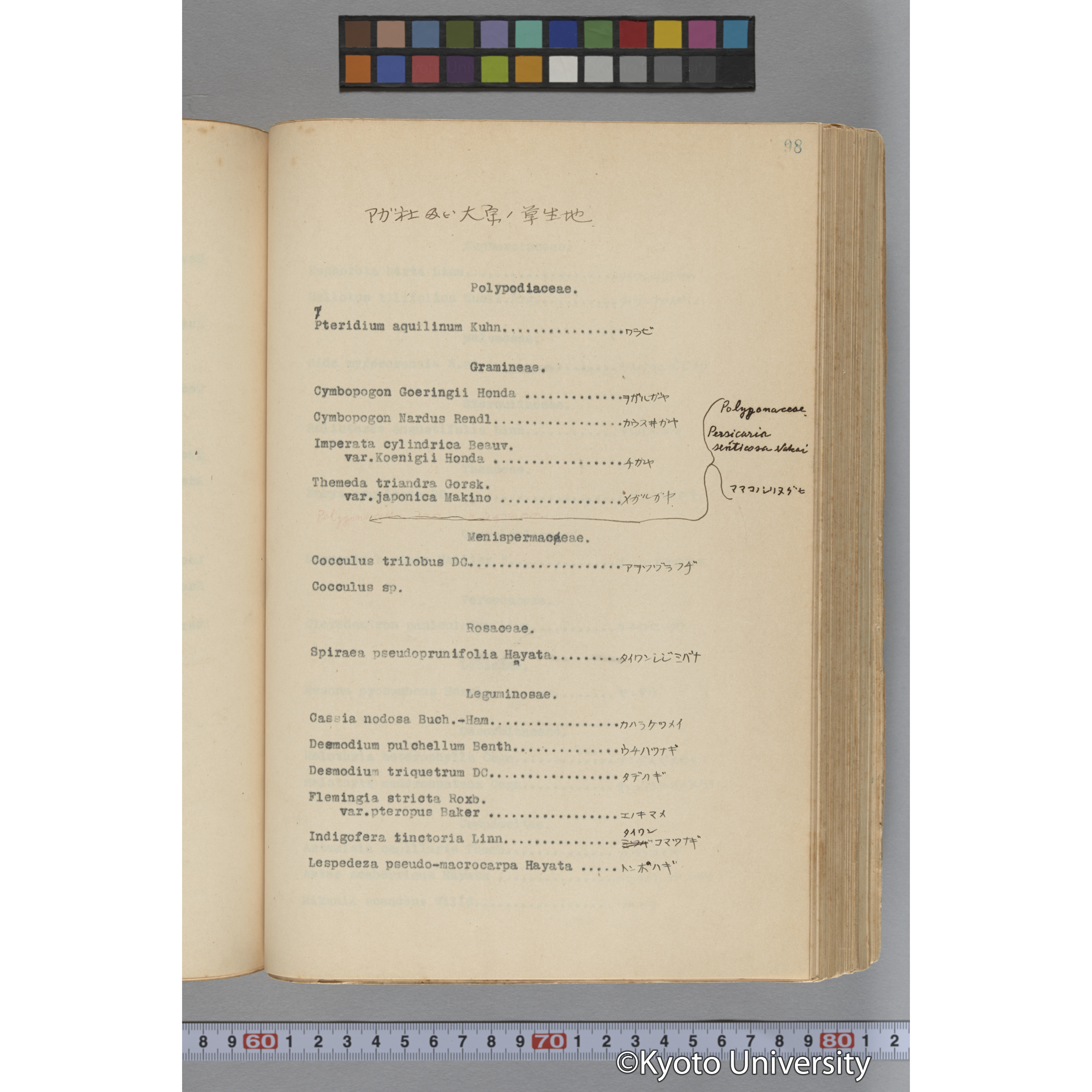 台湾演習林植物調査報告. 第一予報. 1931 植物調査班 (149)