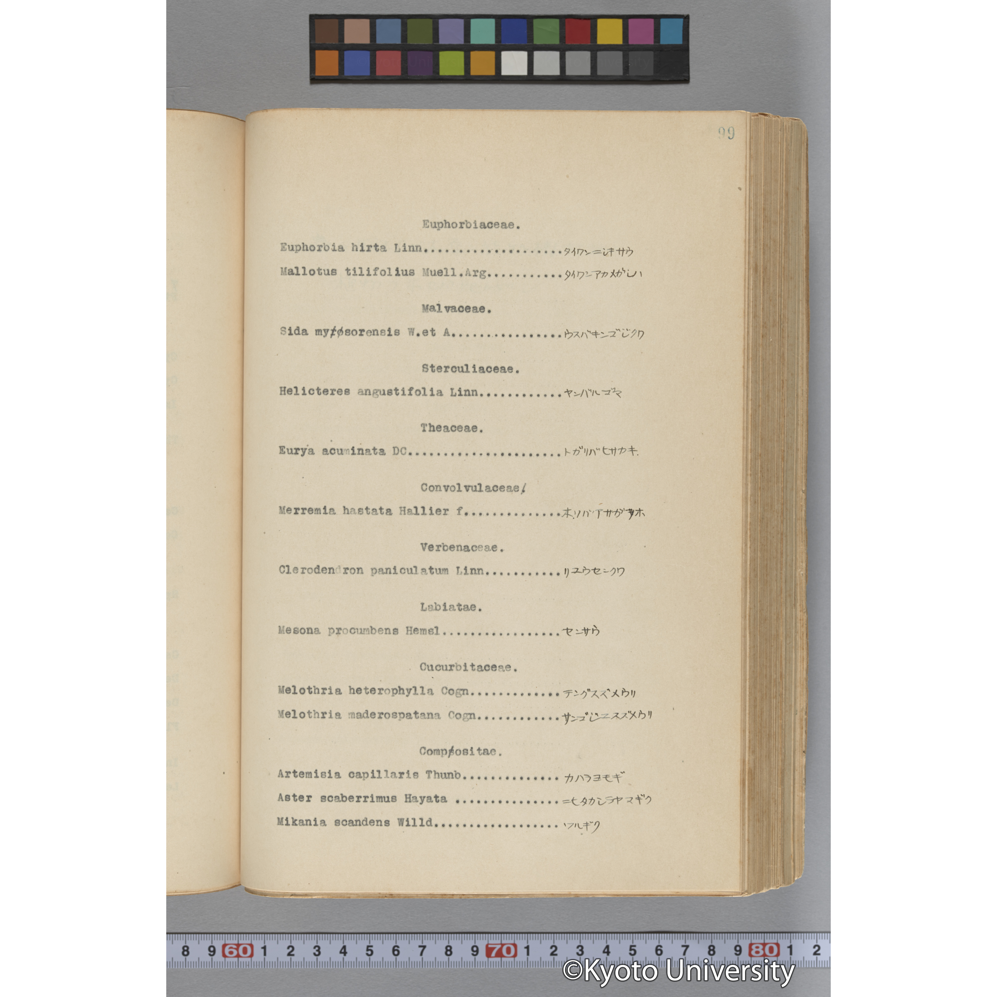 台湾演習林植物調査報告. 第一予報. 1931 植物調査班 (150)