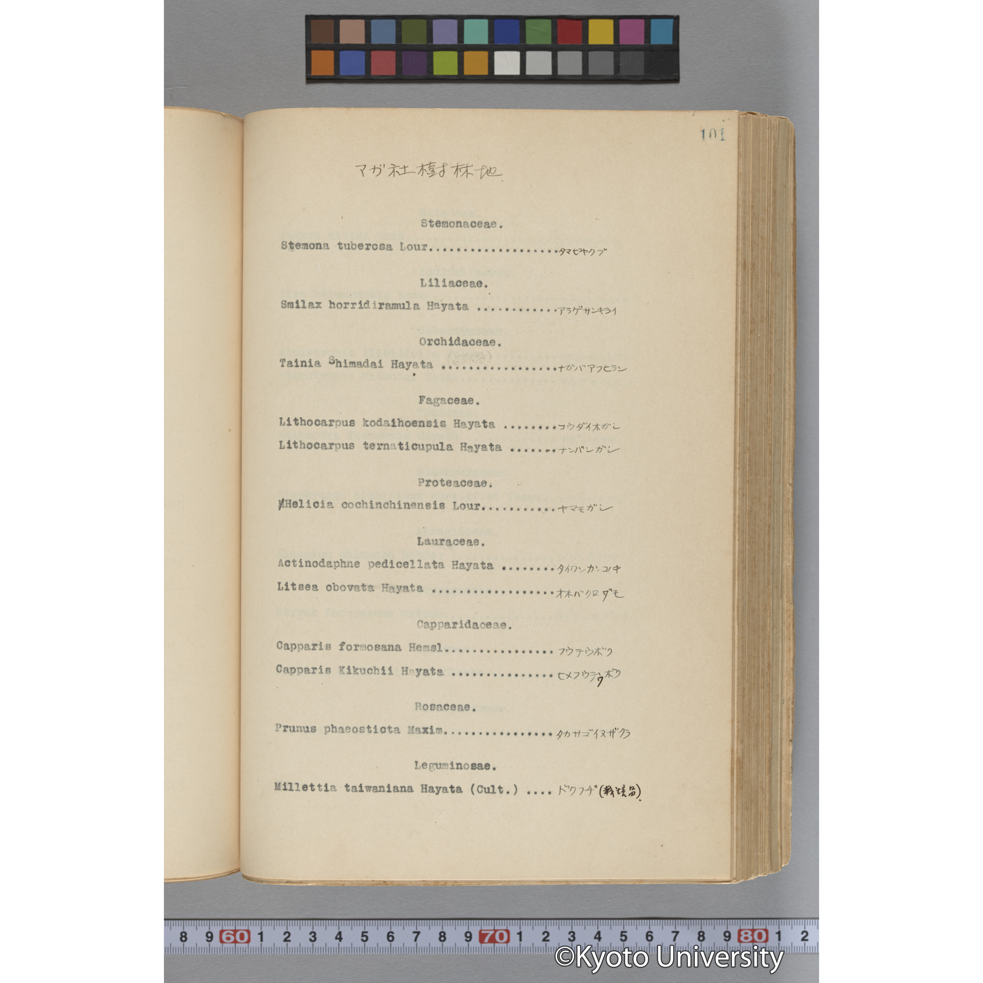 台湾演習林植物調査報告. 第一予報. 1931 植物調査班 (152)