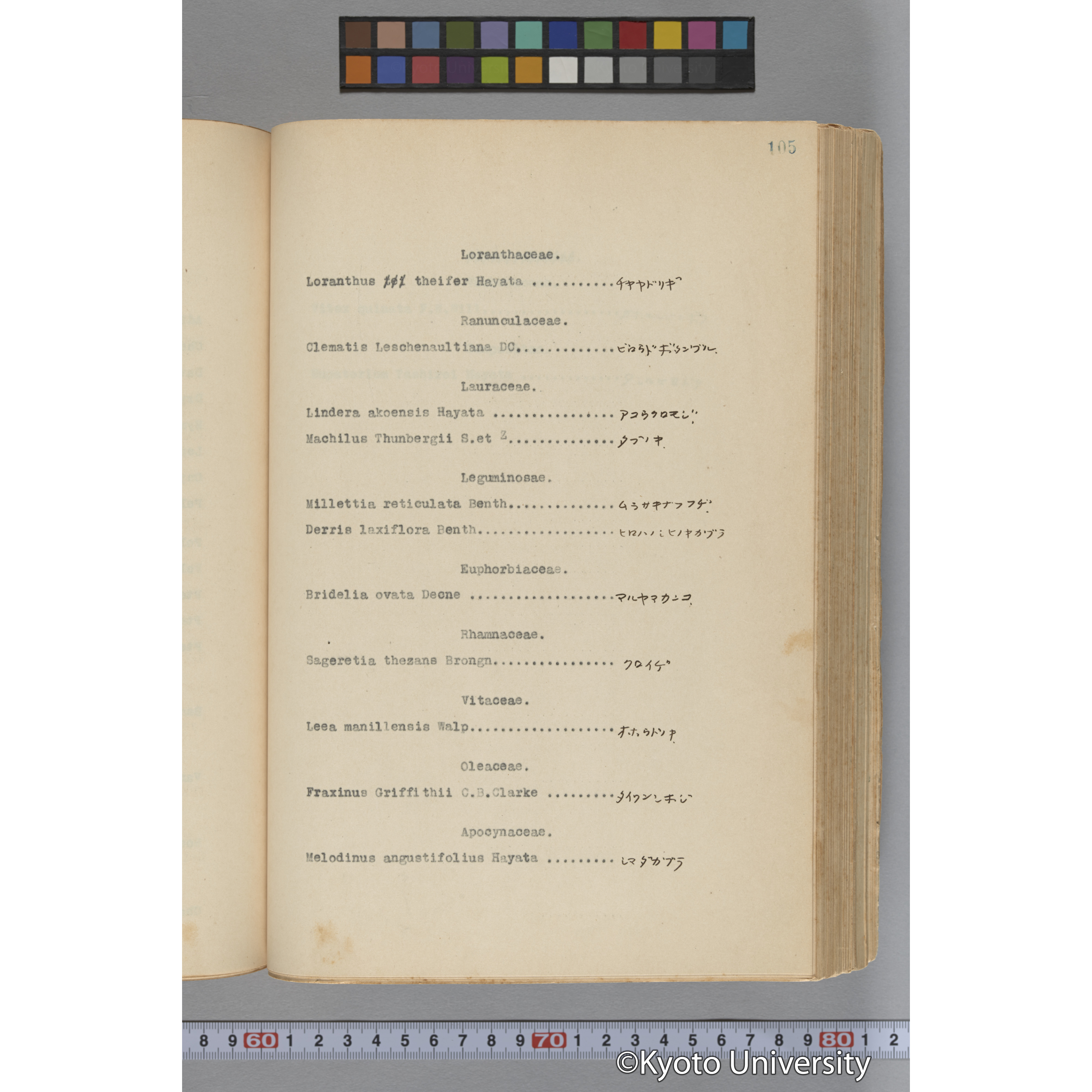 台湾演習林植物調査報告. 第一予報. 1931 植物調査班 (156)