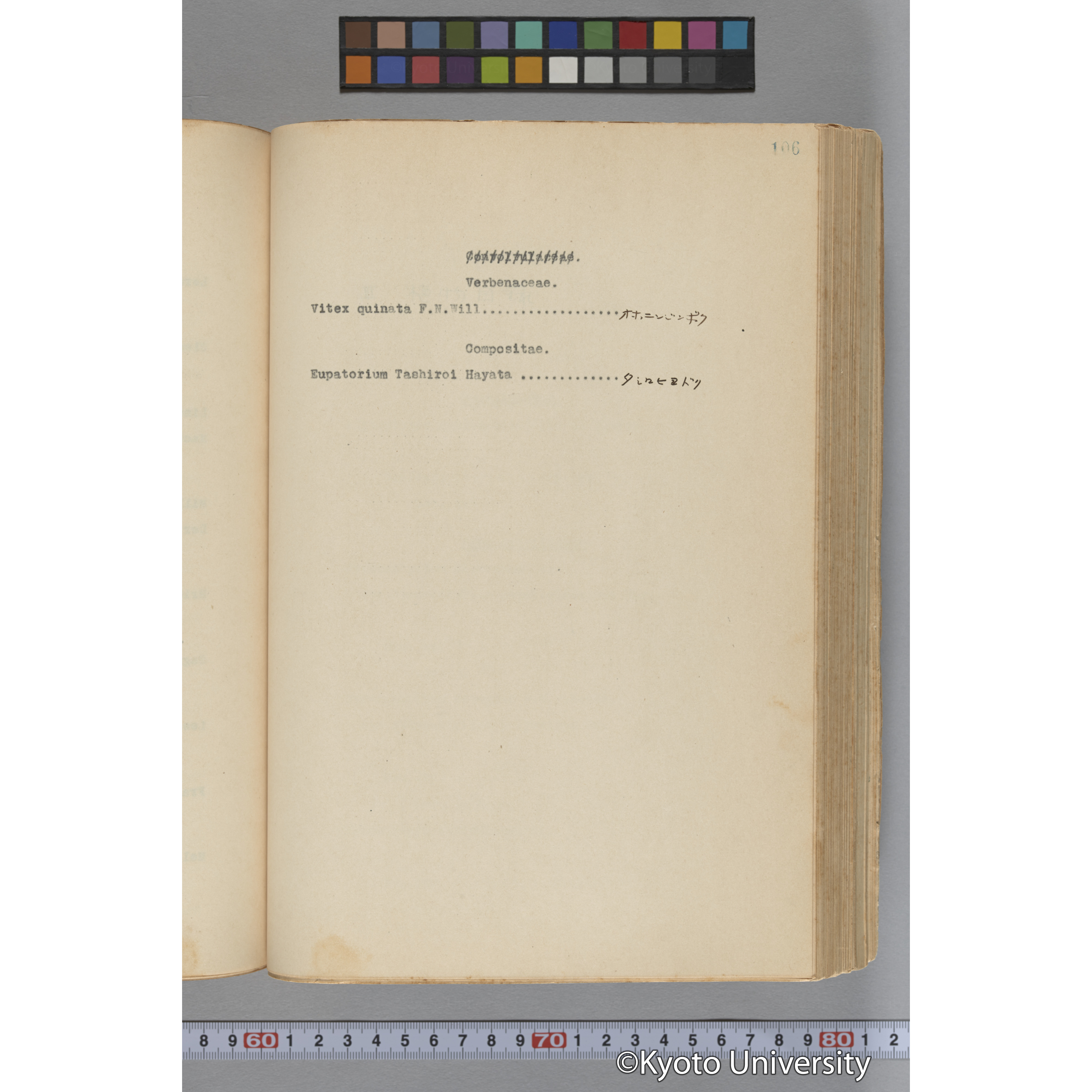 台湾演習林植物調査報告. 第一予報. 1931 植物調査班 (157)