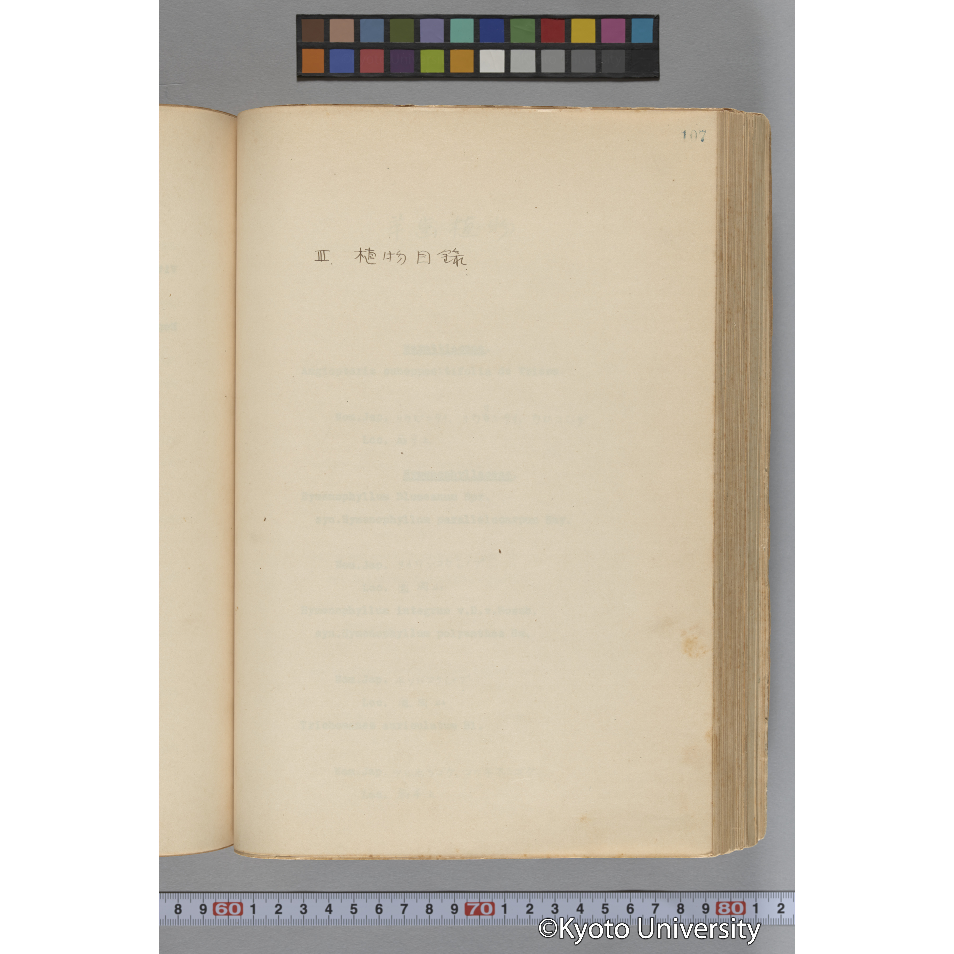 台湾演習林植物調査報告. 第一予報. 1931 植物調査班 (158)