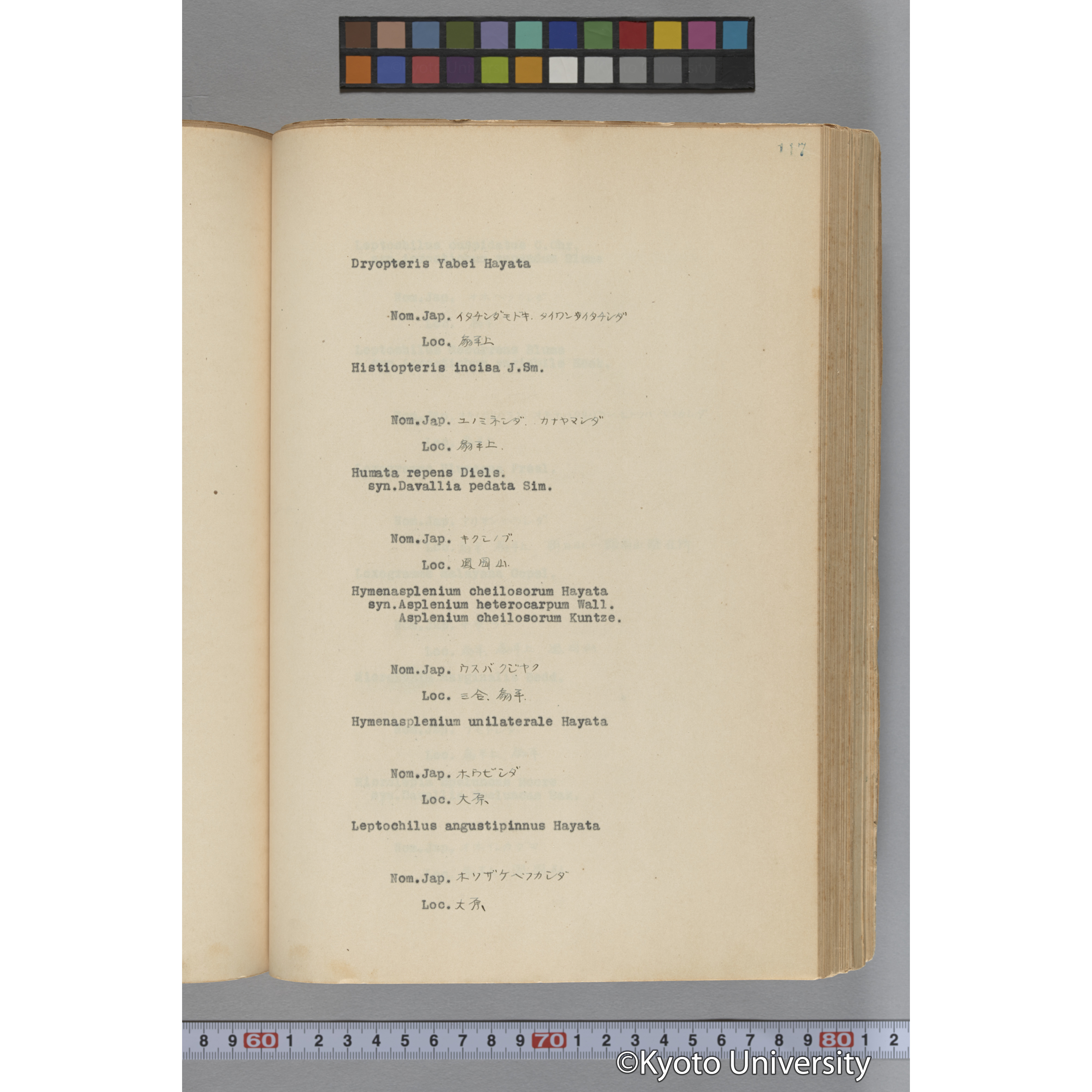 台湾演習林植物調査報告. 第一予報. 1931 植物調査班 (164)