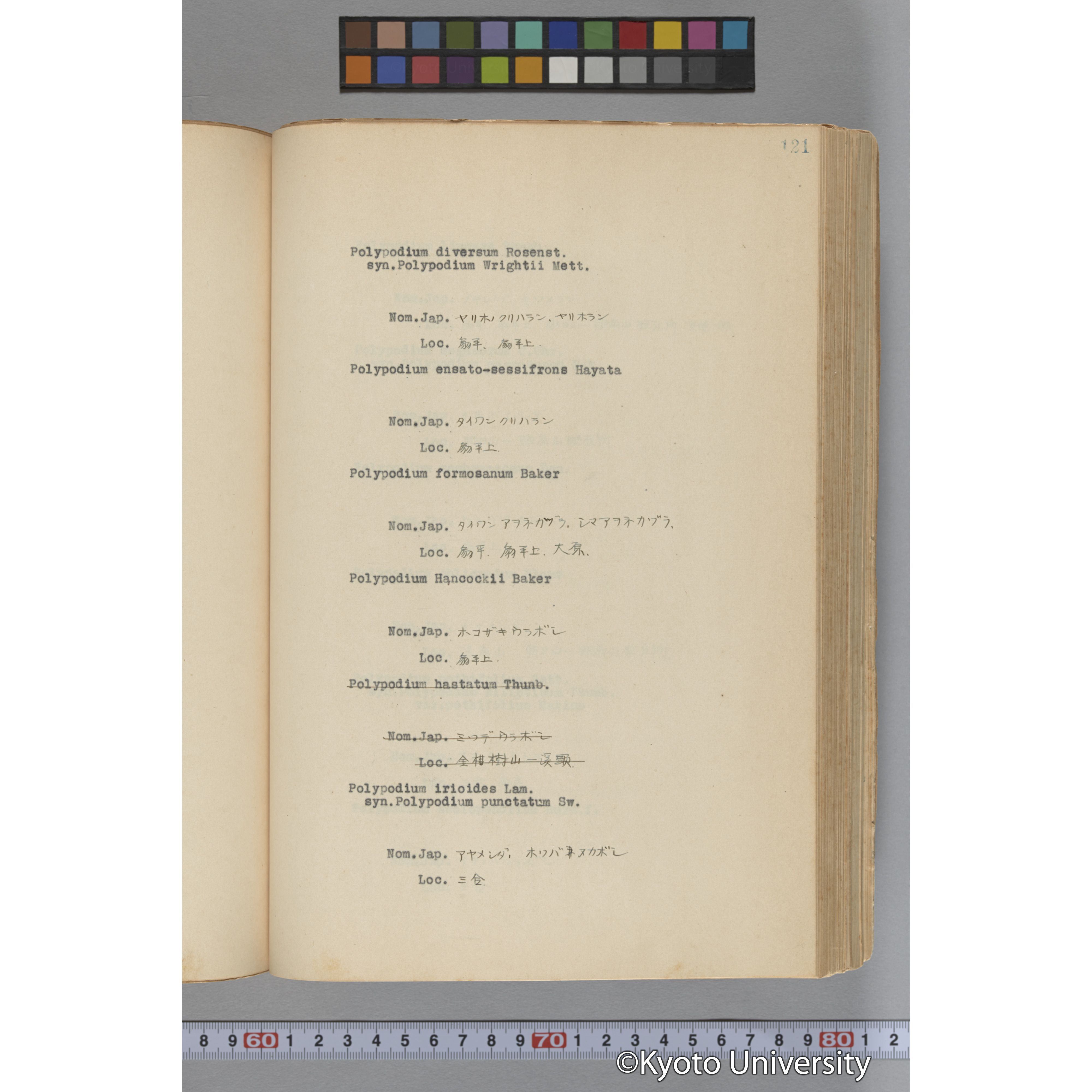 台湾演習林植物調査報告. 第一予報. 1931 植物調査班 (168)